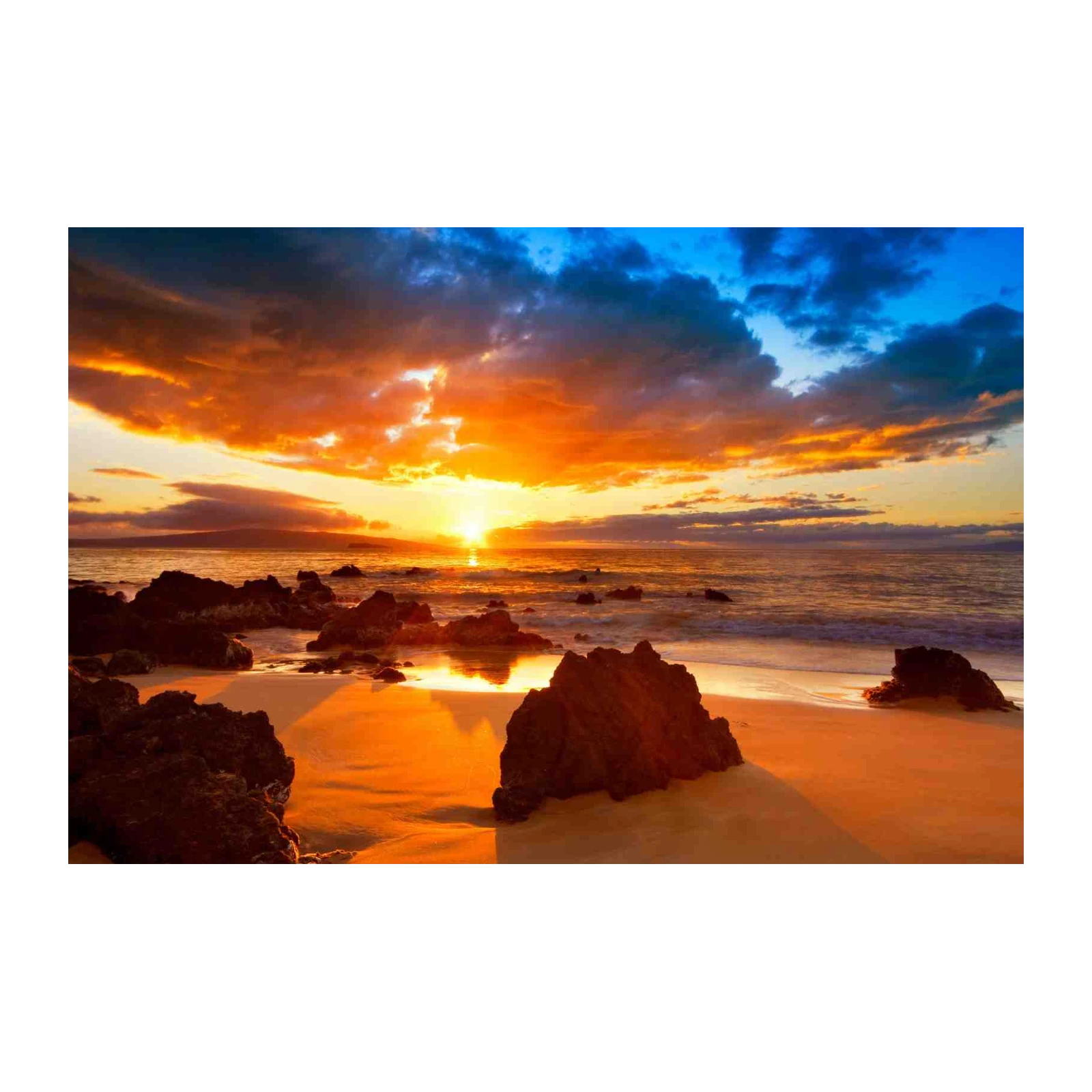 Golden Sunset Beach Tropical Island Wall Art