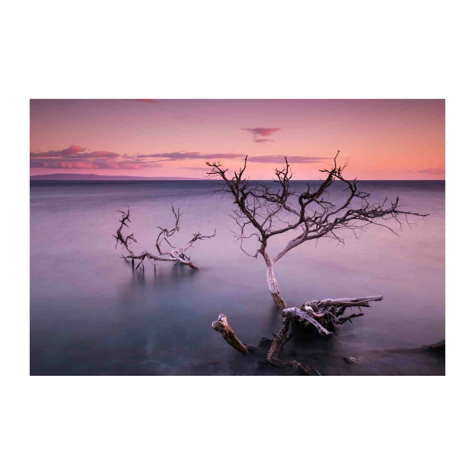 Serene Sunset Beach Tree Wall Art