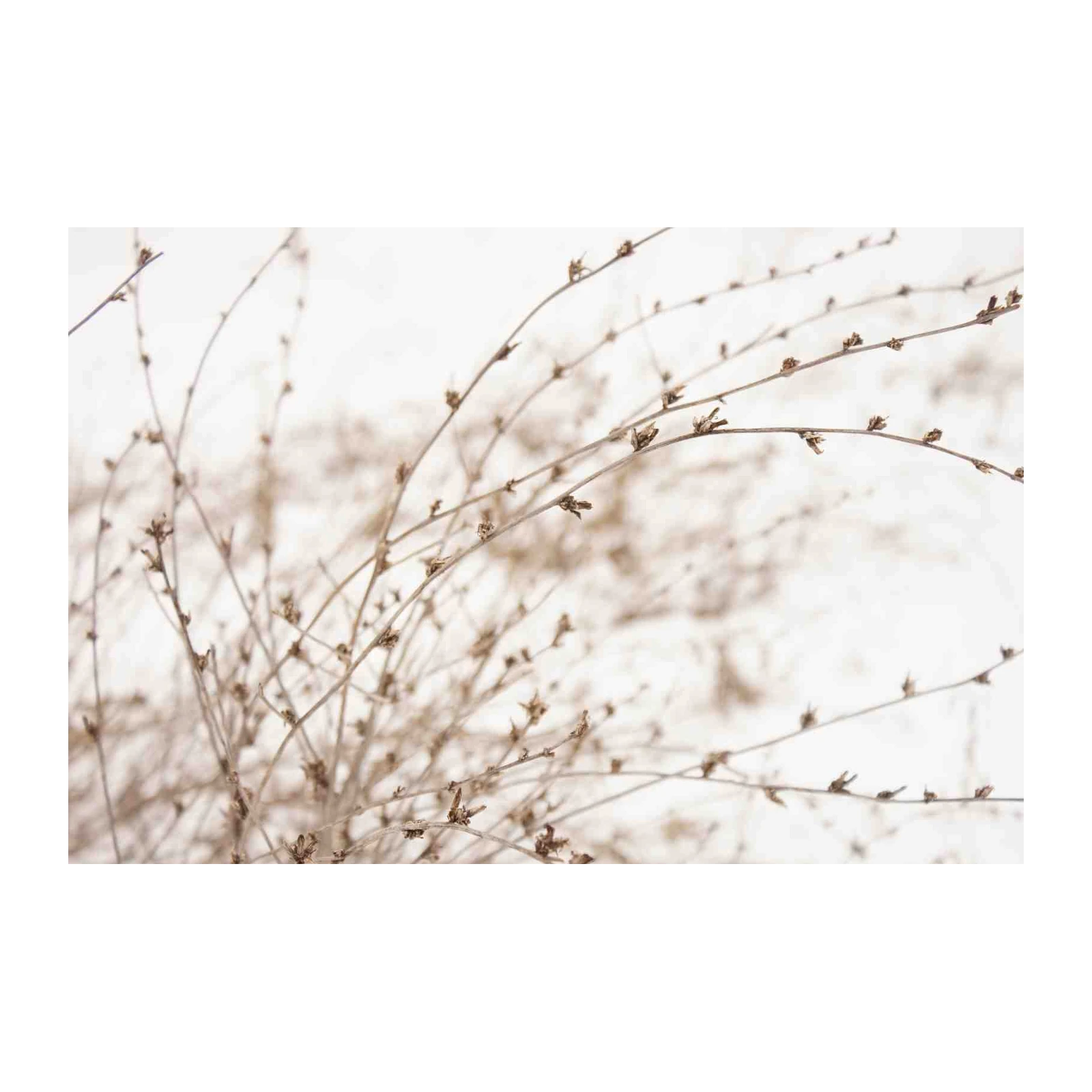 Minimalist Winter Branches Wall Art