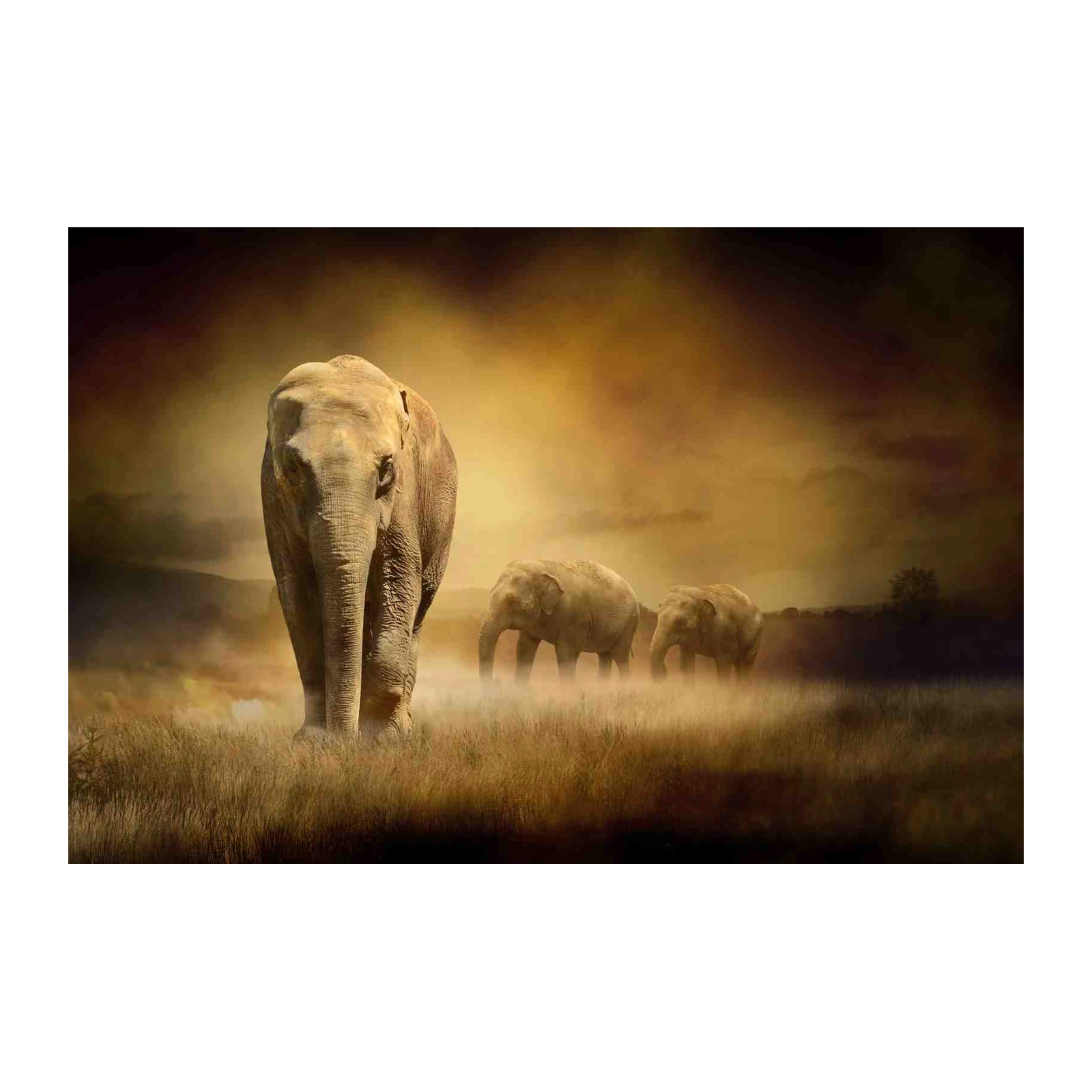 Majestic Elephant Herd Wilderness Wall Art