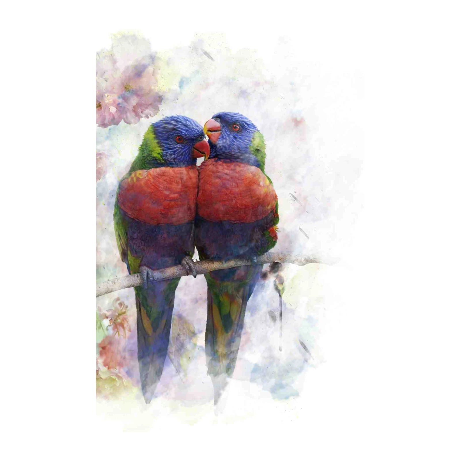 Rainbow Lorikeets Kissing Watercolor Wall Art