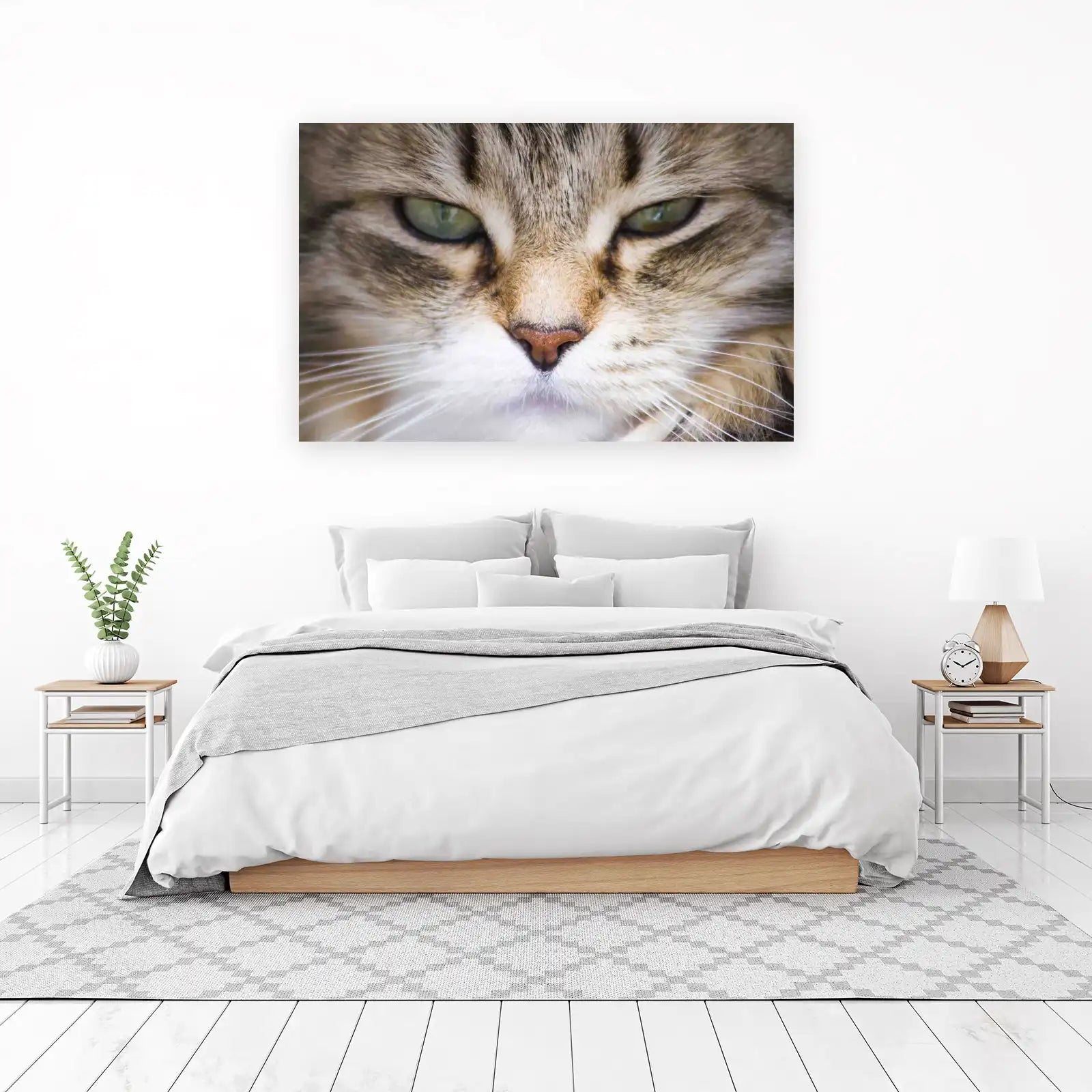 Intense Gaze Cat Face Wall Art Wall Art