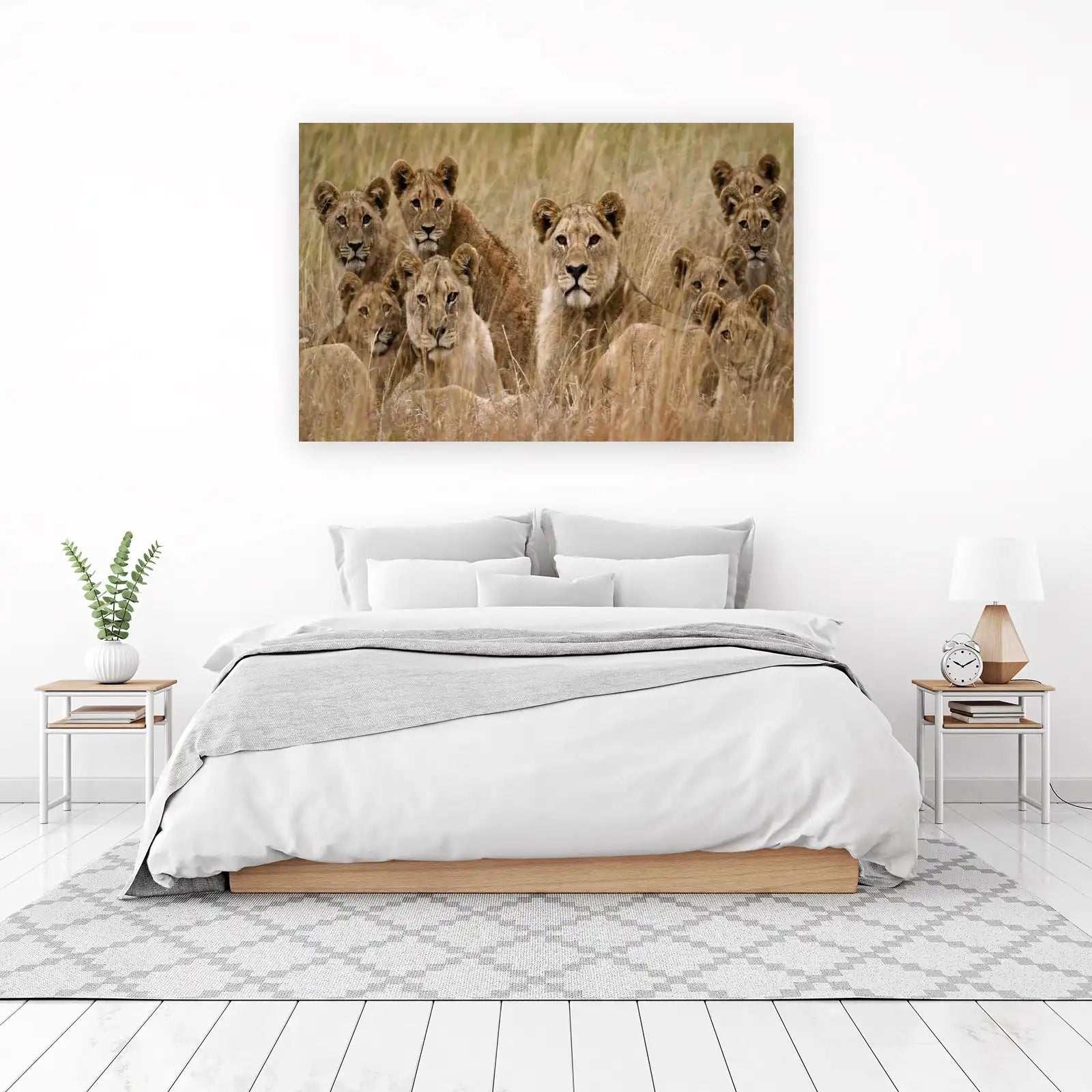 Majestic Lion Pride Safari Wall Art