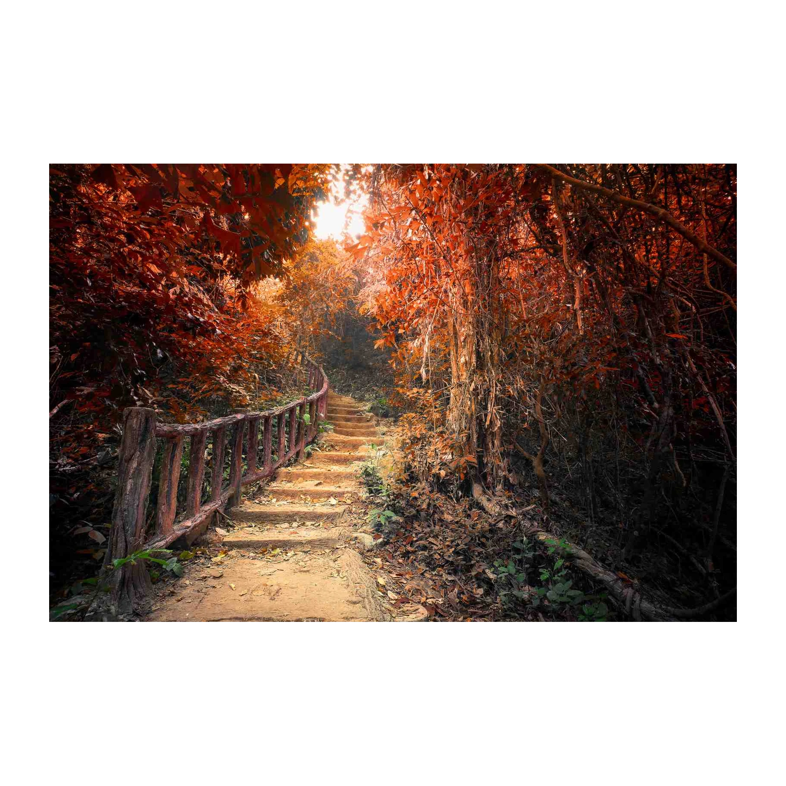 Enchanting Autumn Forest Pathway Wall Art