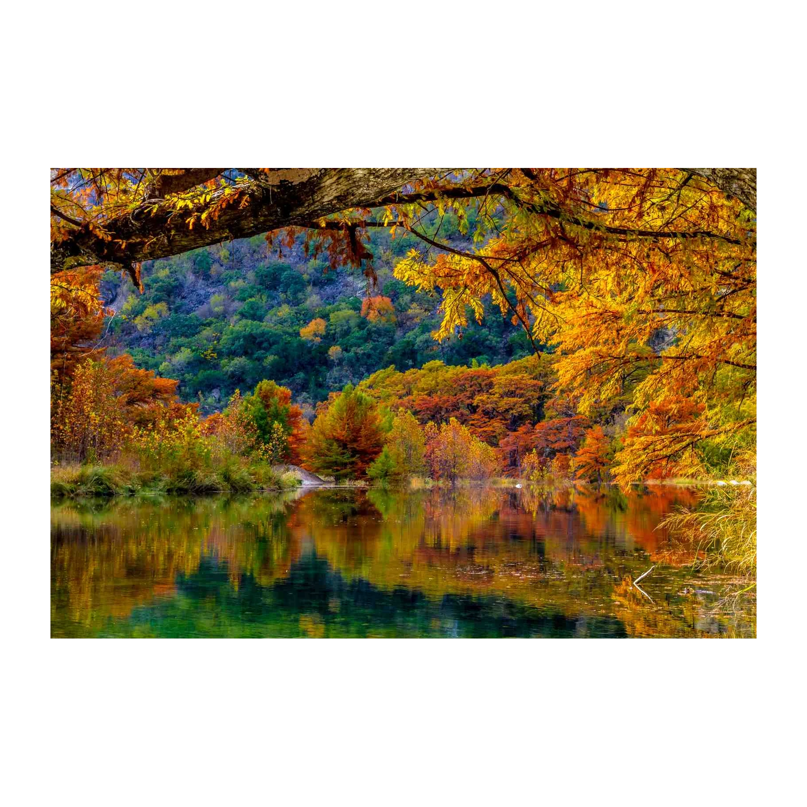 Vibrant Autumn Lake Landscape Wall Art