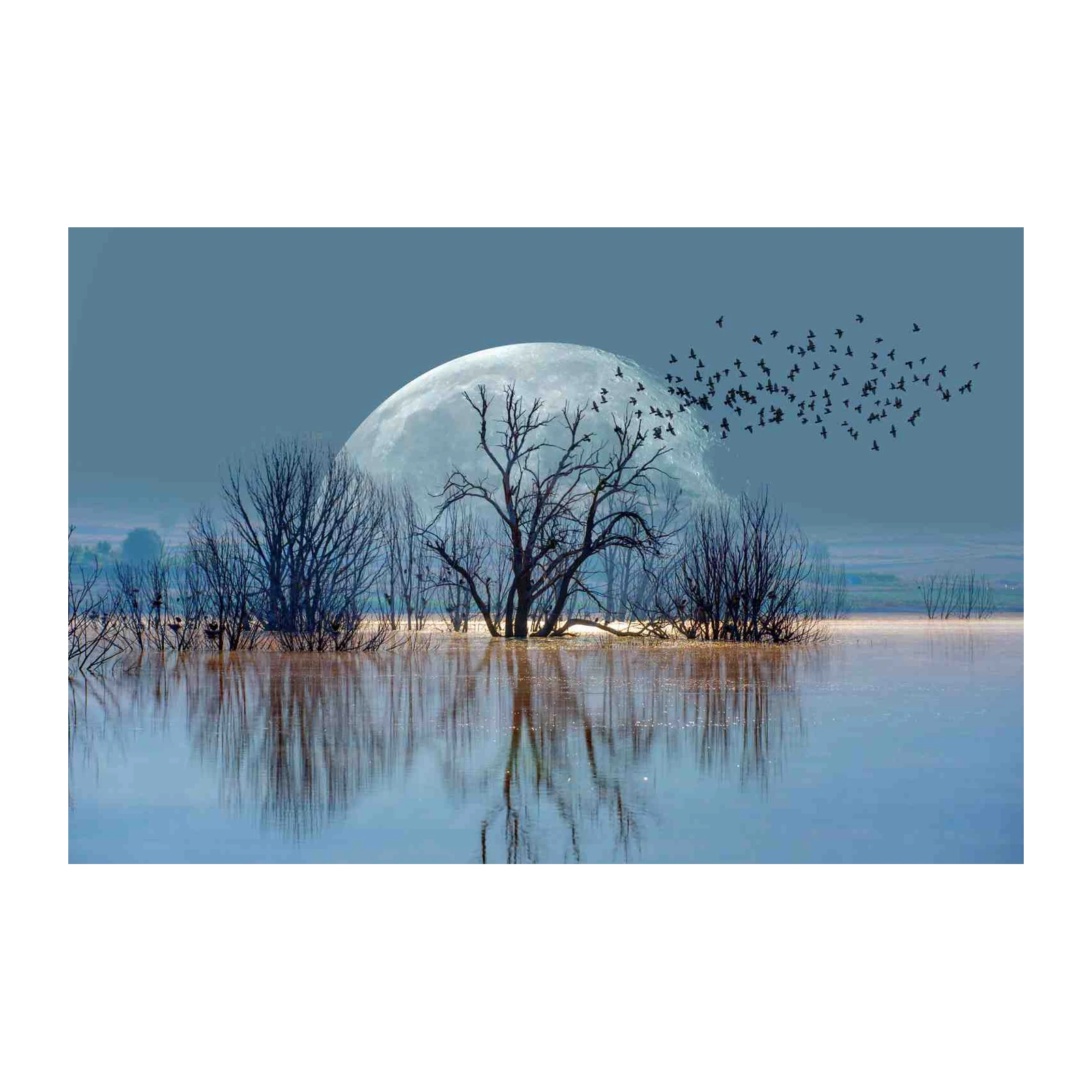 Enigmatic Moonlit Flock Wall Art