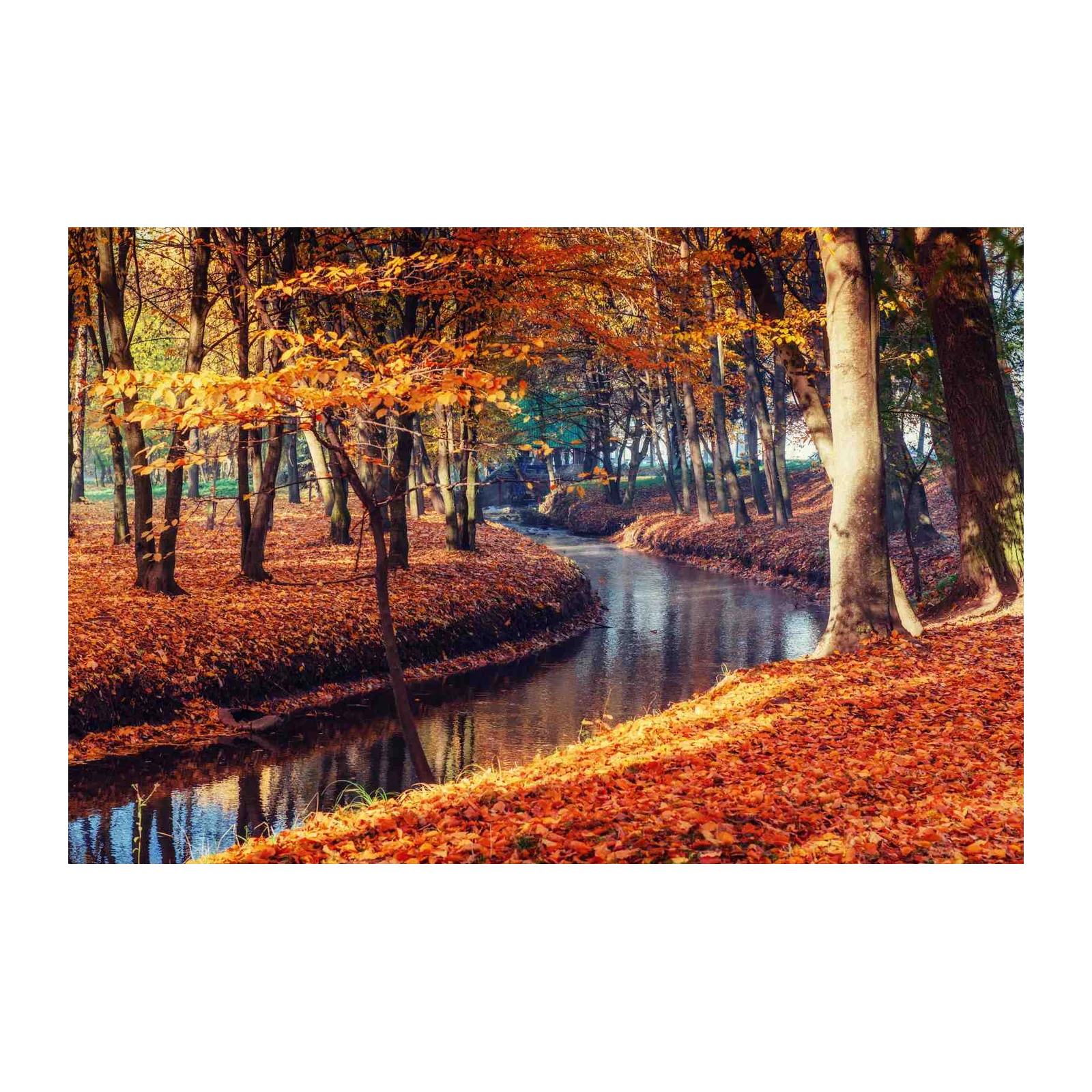 Autumn Forest Stream Wall Art | Cozy Nature Wall Art