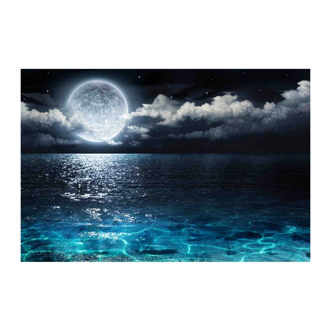 Serene Moonlight Ocean Wall Art