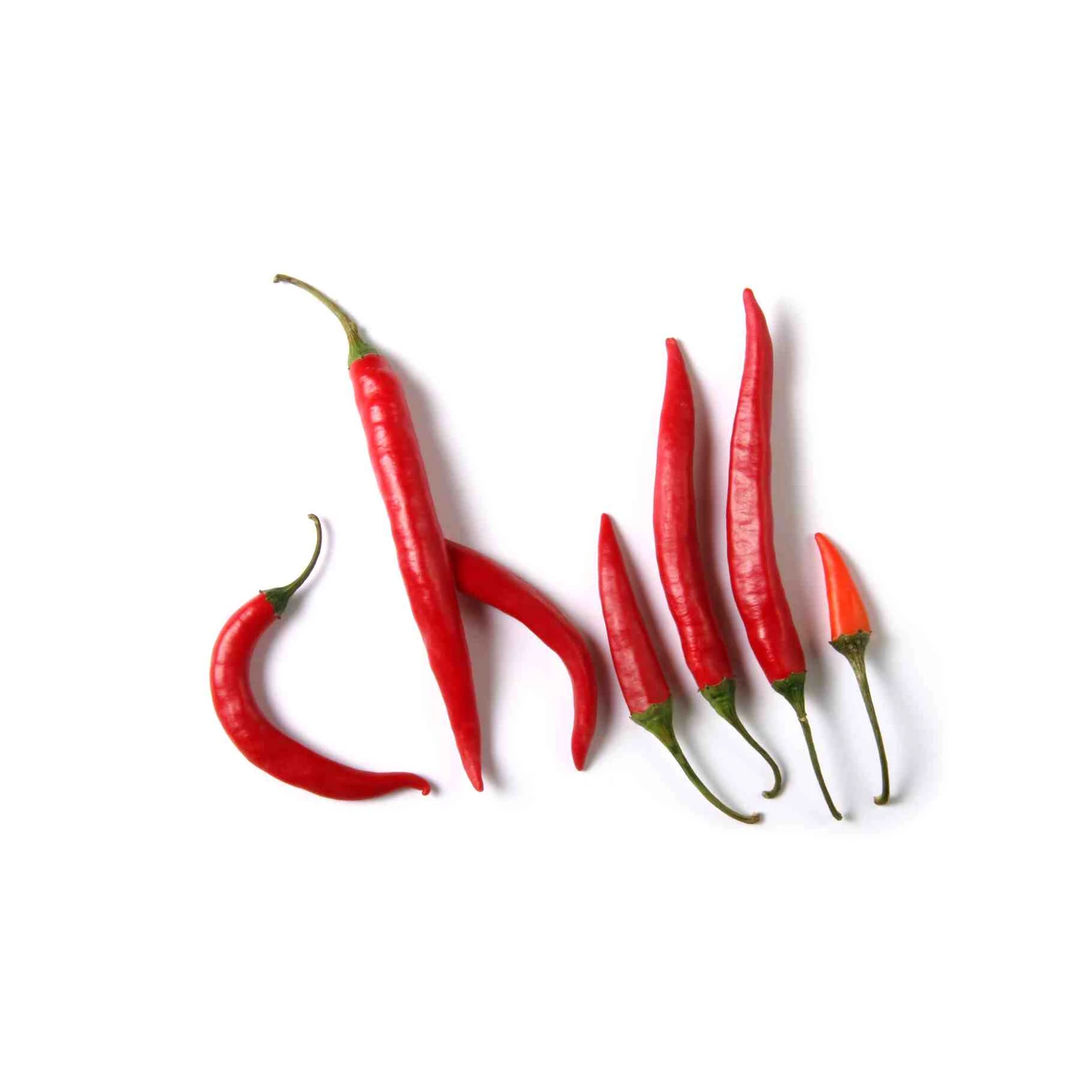 Vibrant Red Chili Peppers Wall Art Wall Art