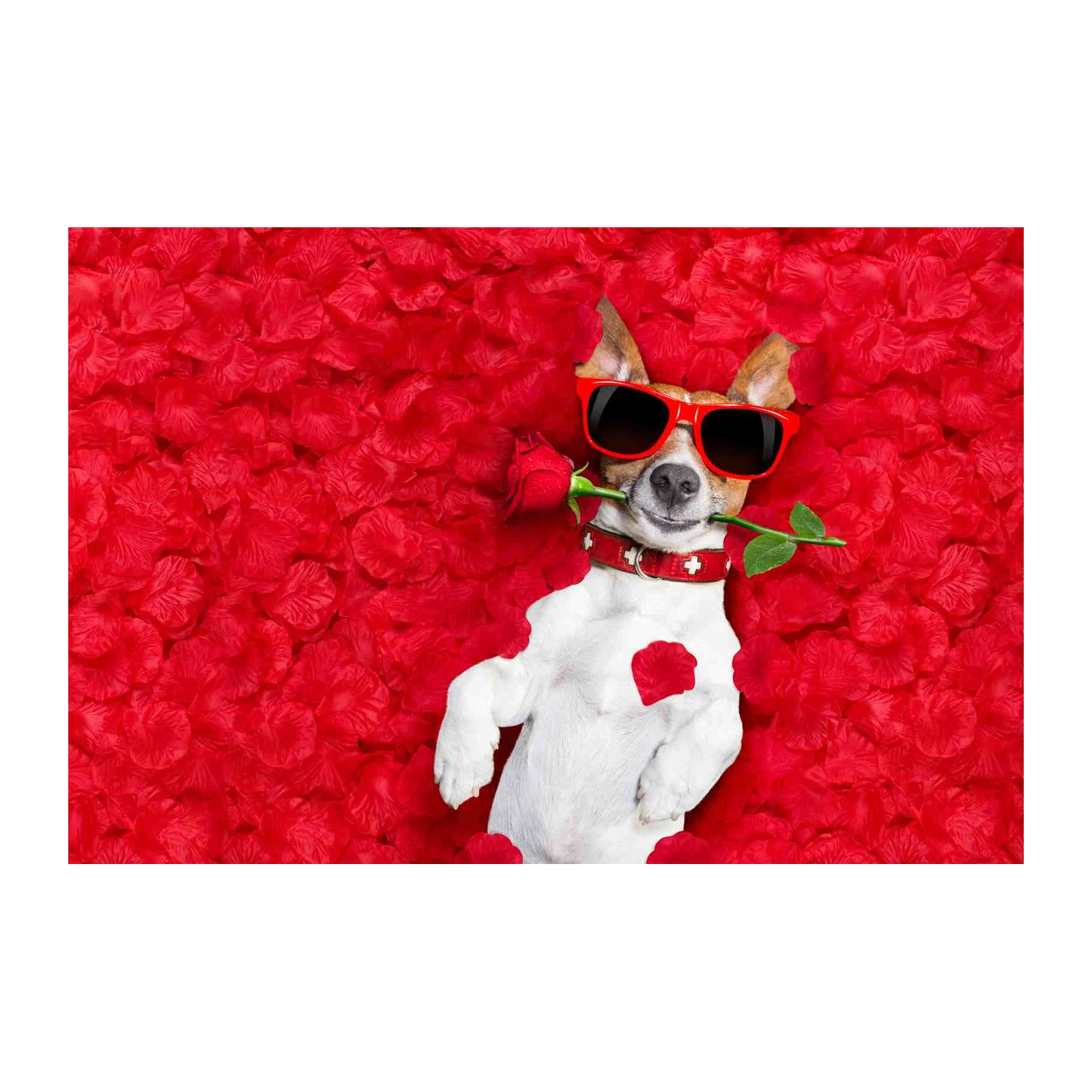 Cool Dog with Rose Valentine's Day Wall Art