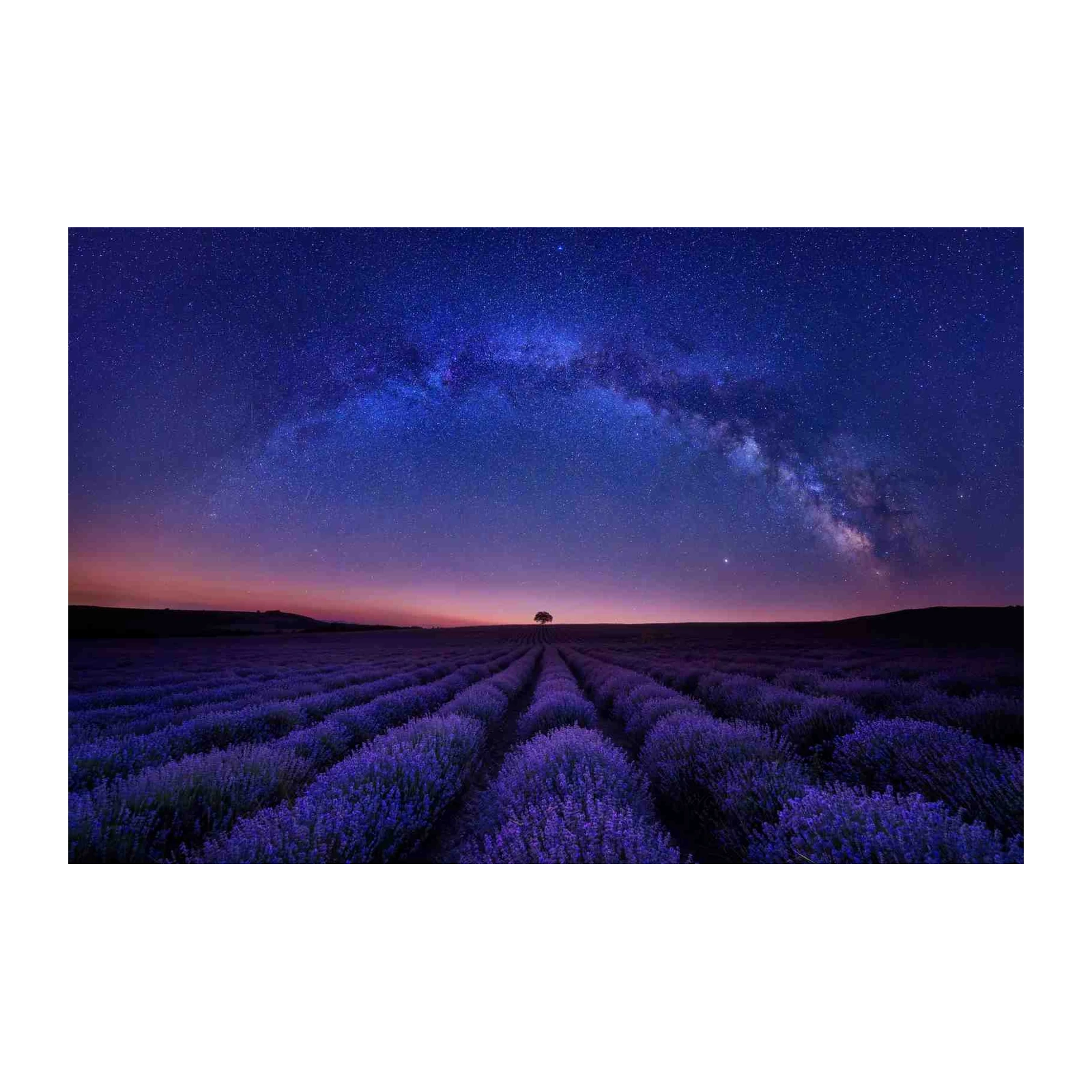 Milky Way Lavender Field Serenity Wall Art