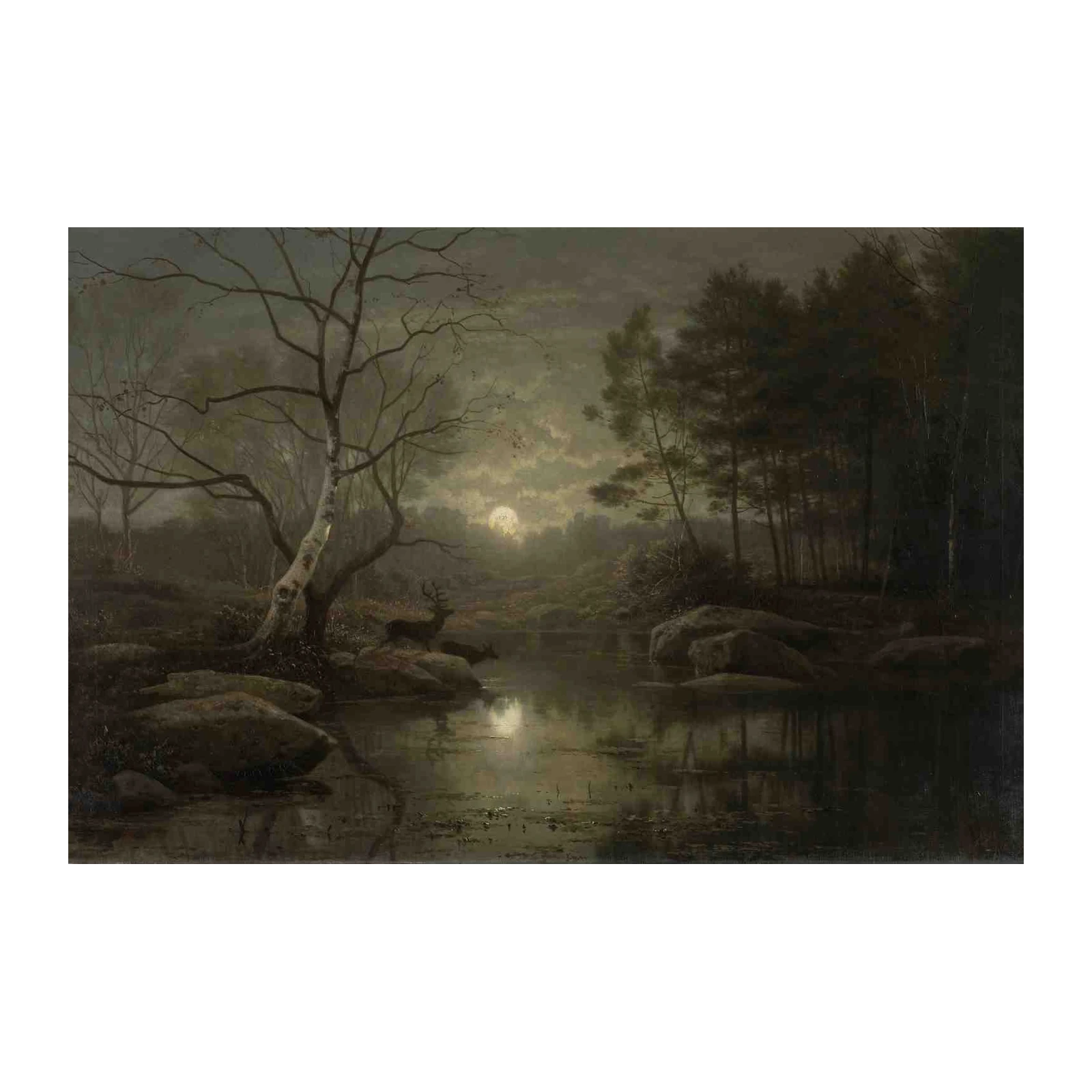 Serene Moonlight Deer Forest Wall Art