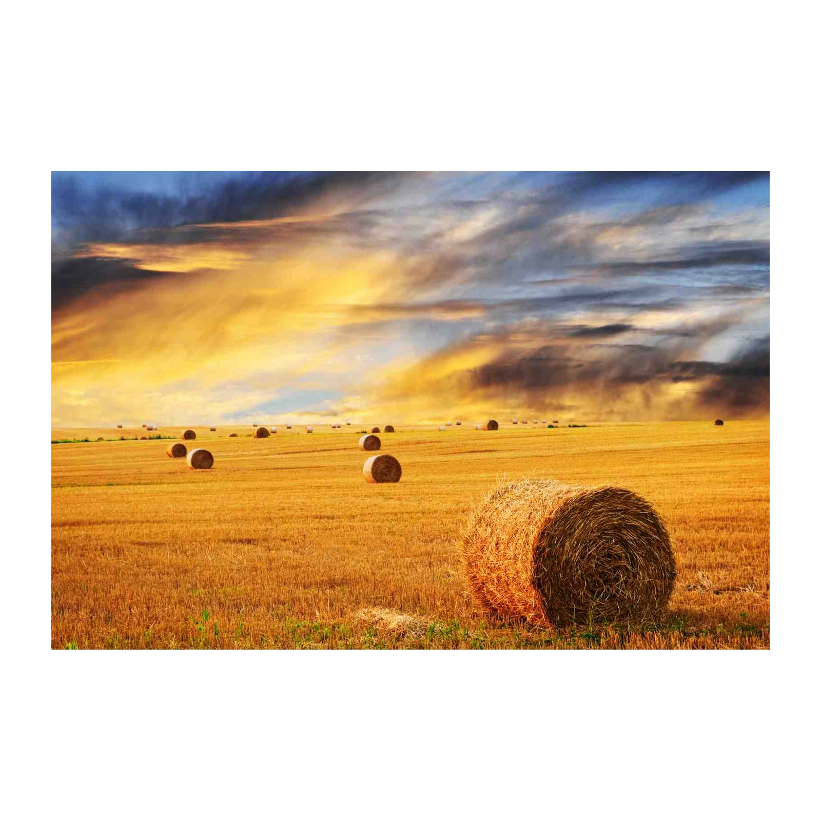 Golden Harvest Hay Bales Sunset Wall Art
