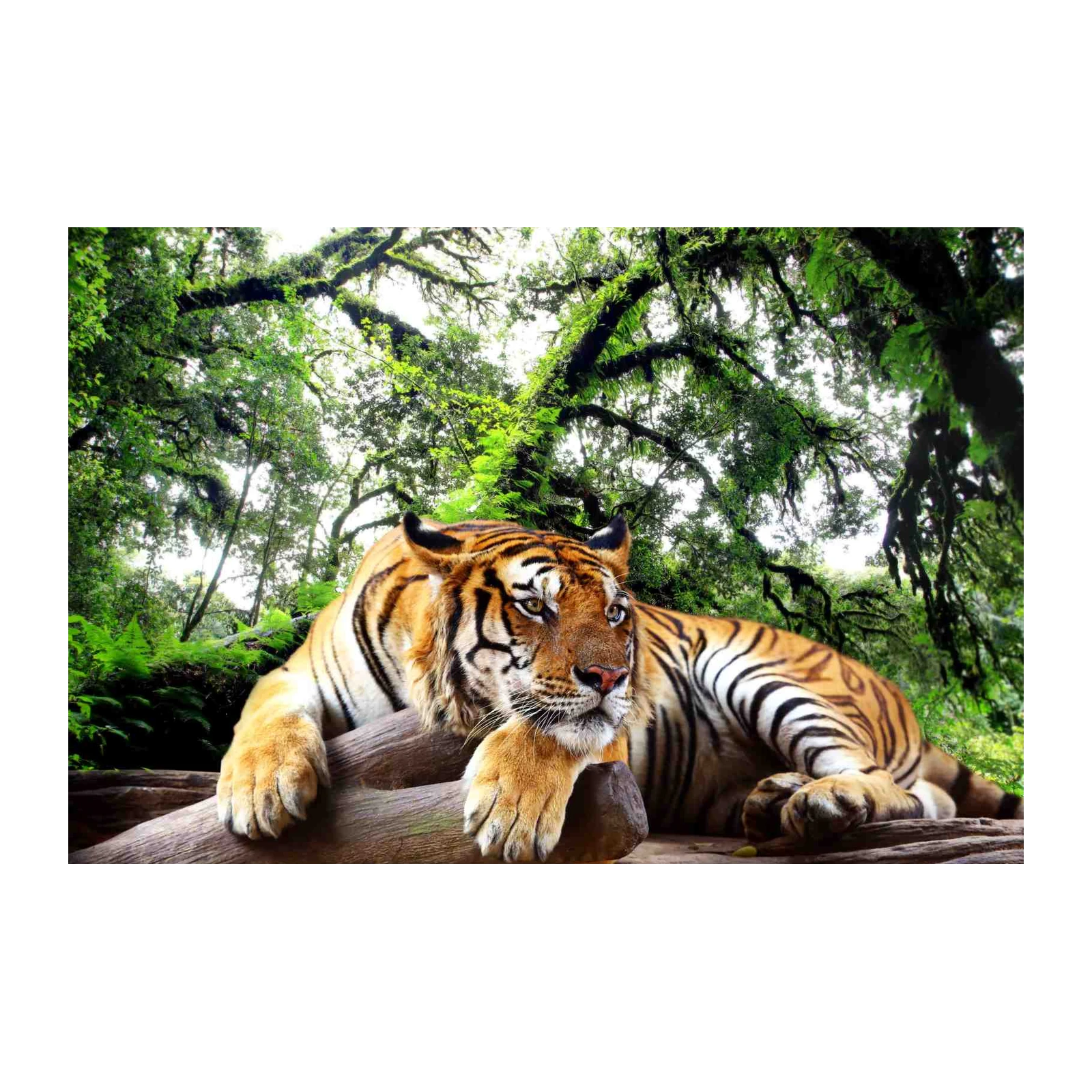 Majestic Tiger in Lush Forest Wall Art