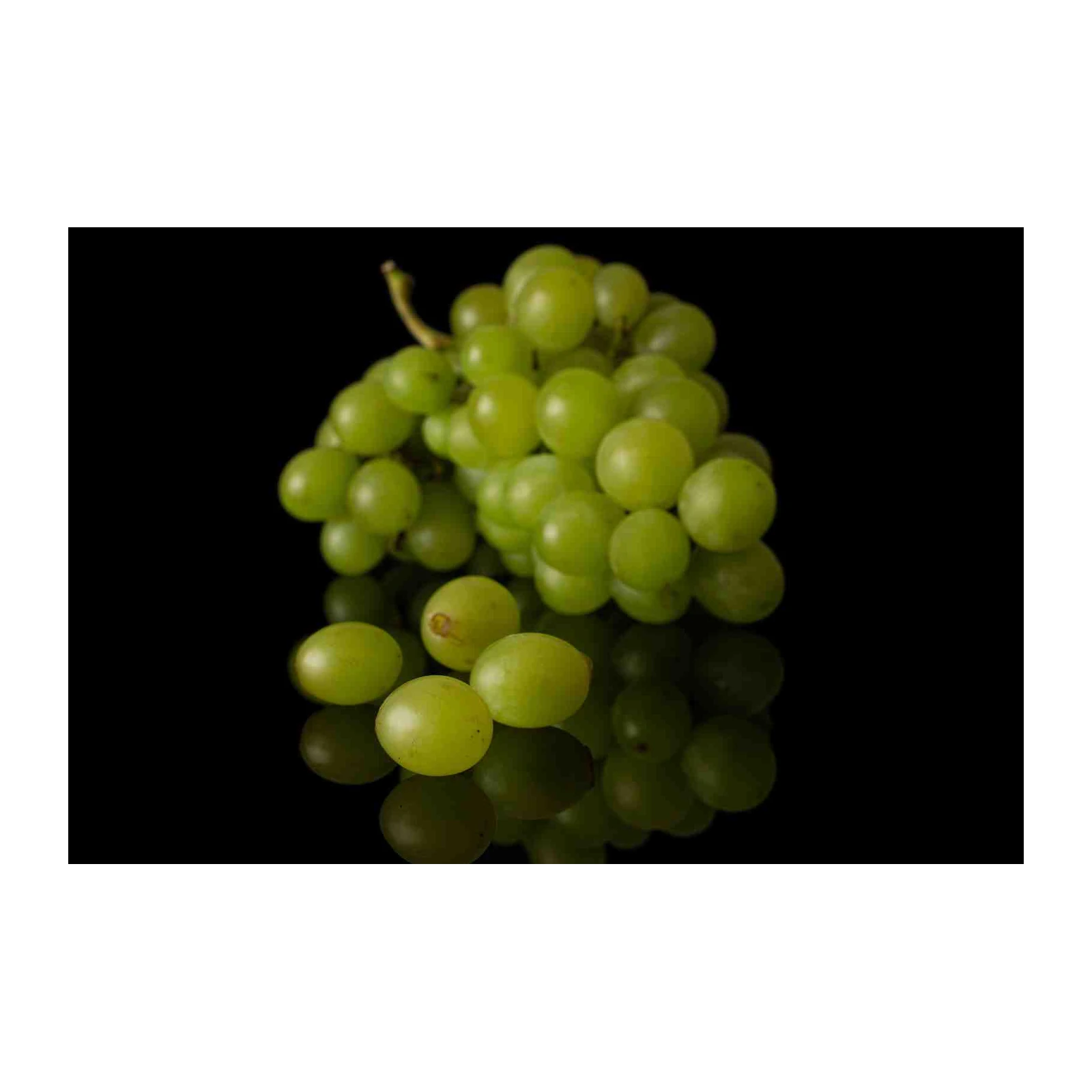 Vibrant Green Grapes Still Life Wall Art