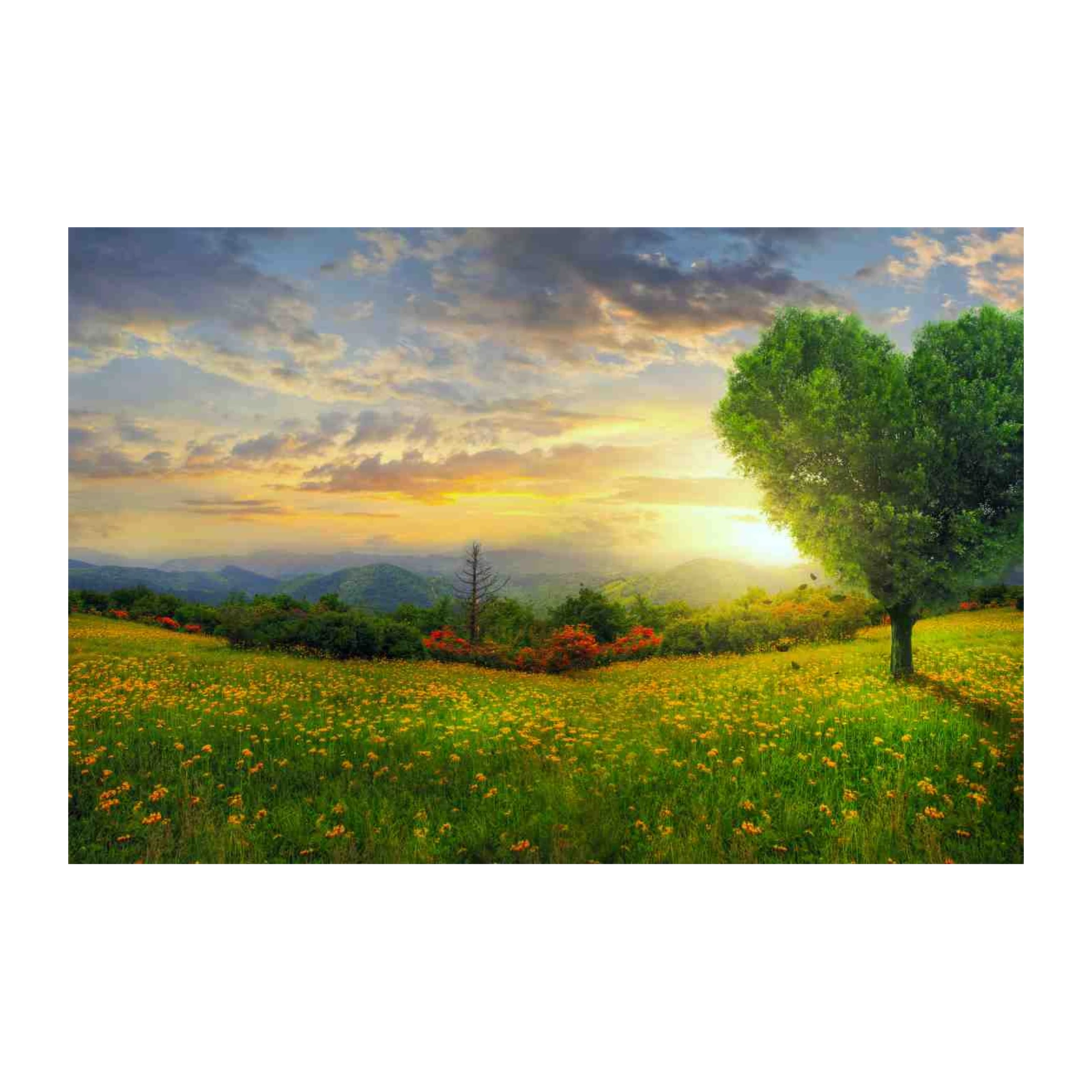 Heart Tree Nature Landscape Wall Art