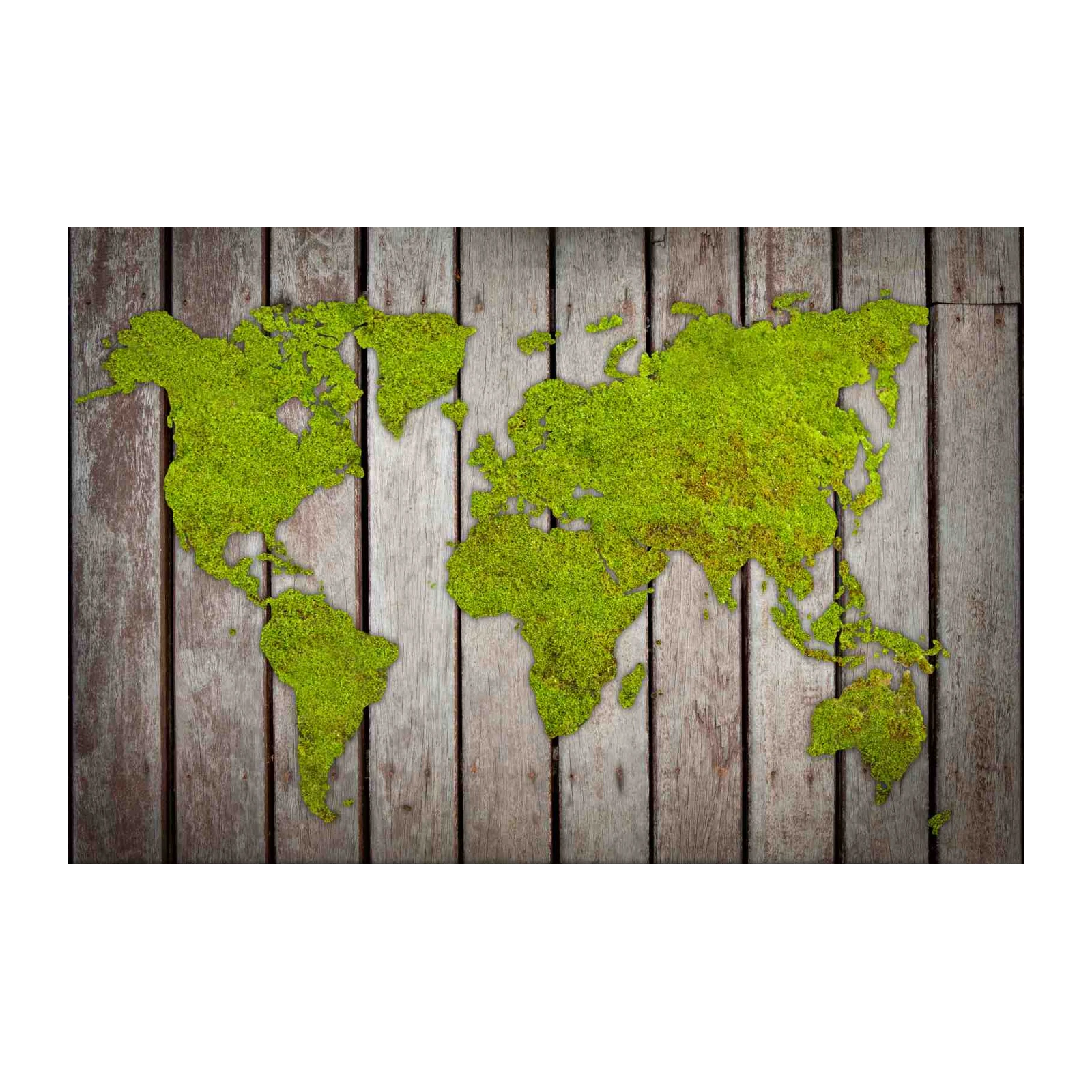 Moss World Map Textured Wood Wall Art