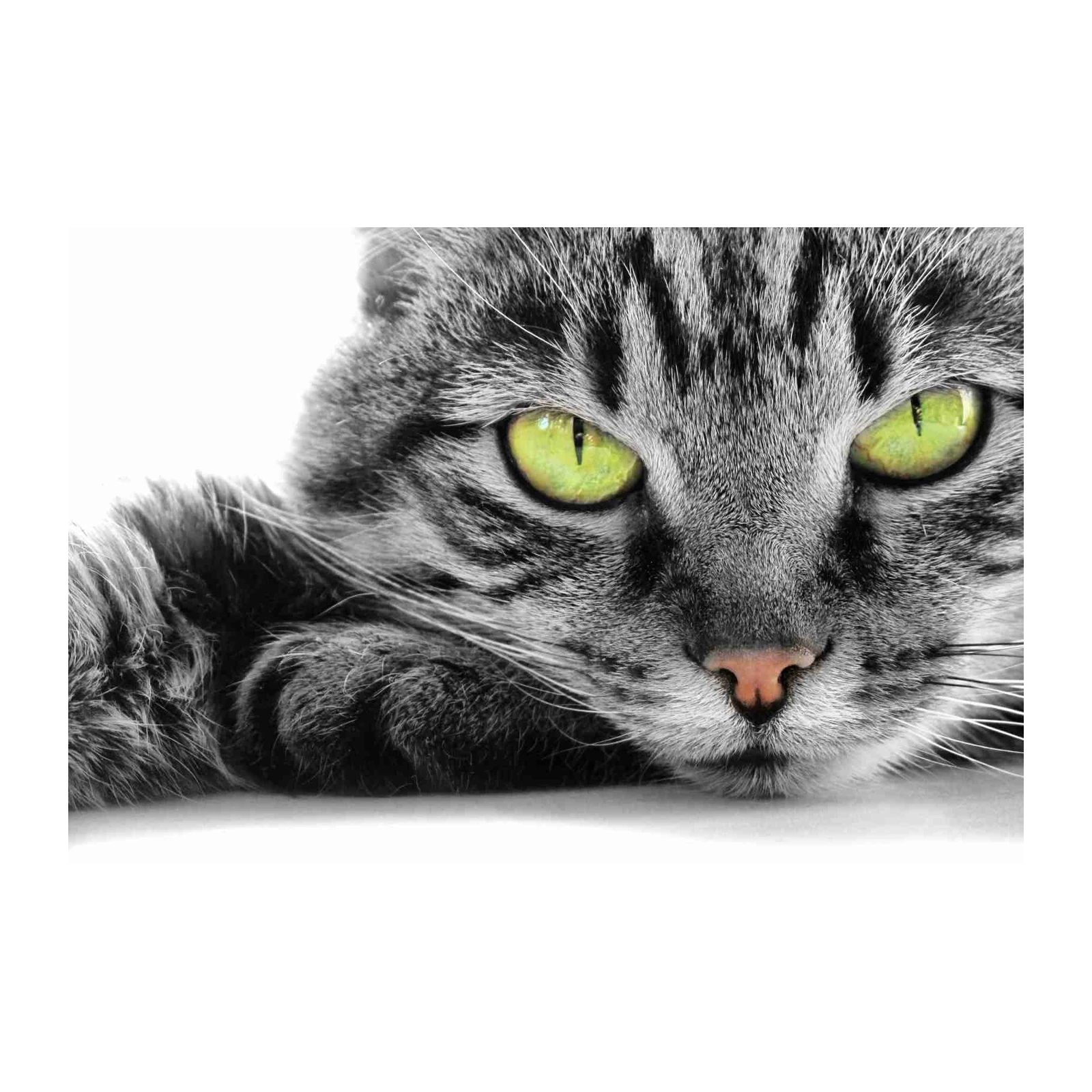 Intense Green Eyes Tabby Cat Wall Art