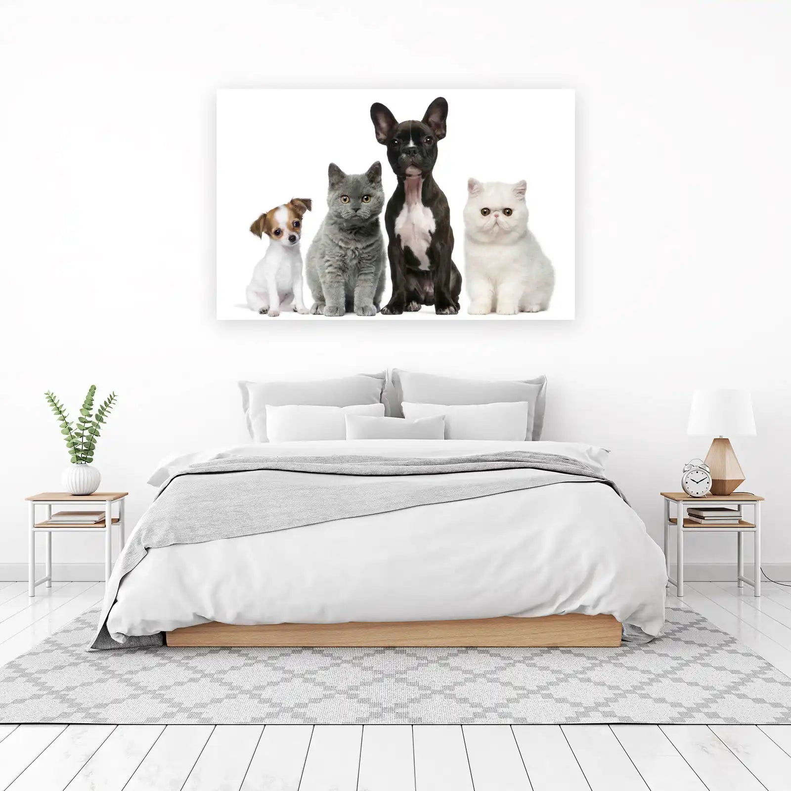 Cute Pet Trio Wall Art