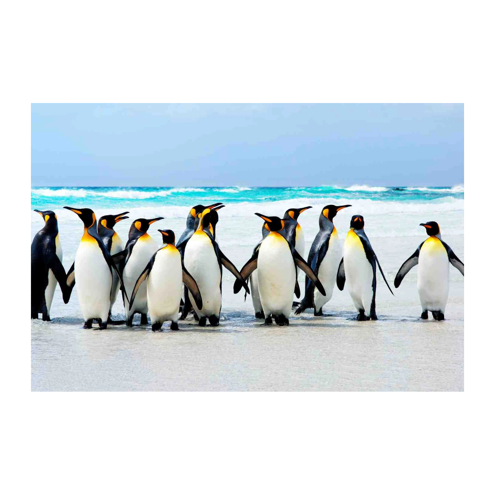 Majestic Penguin Colony Beach Wall Art