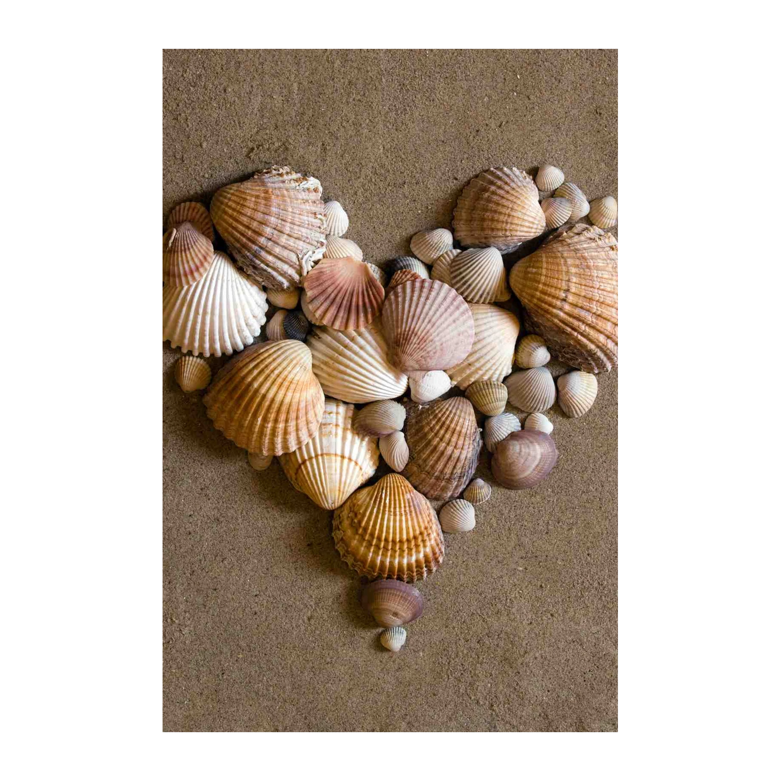 Seashell Heart Coastal Serenity Wall Art