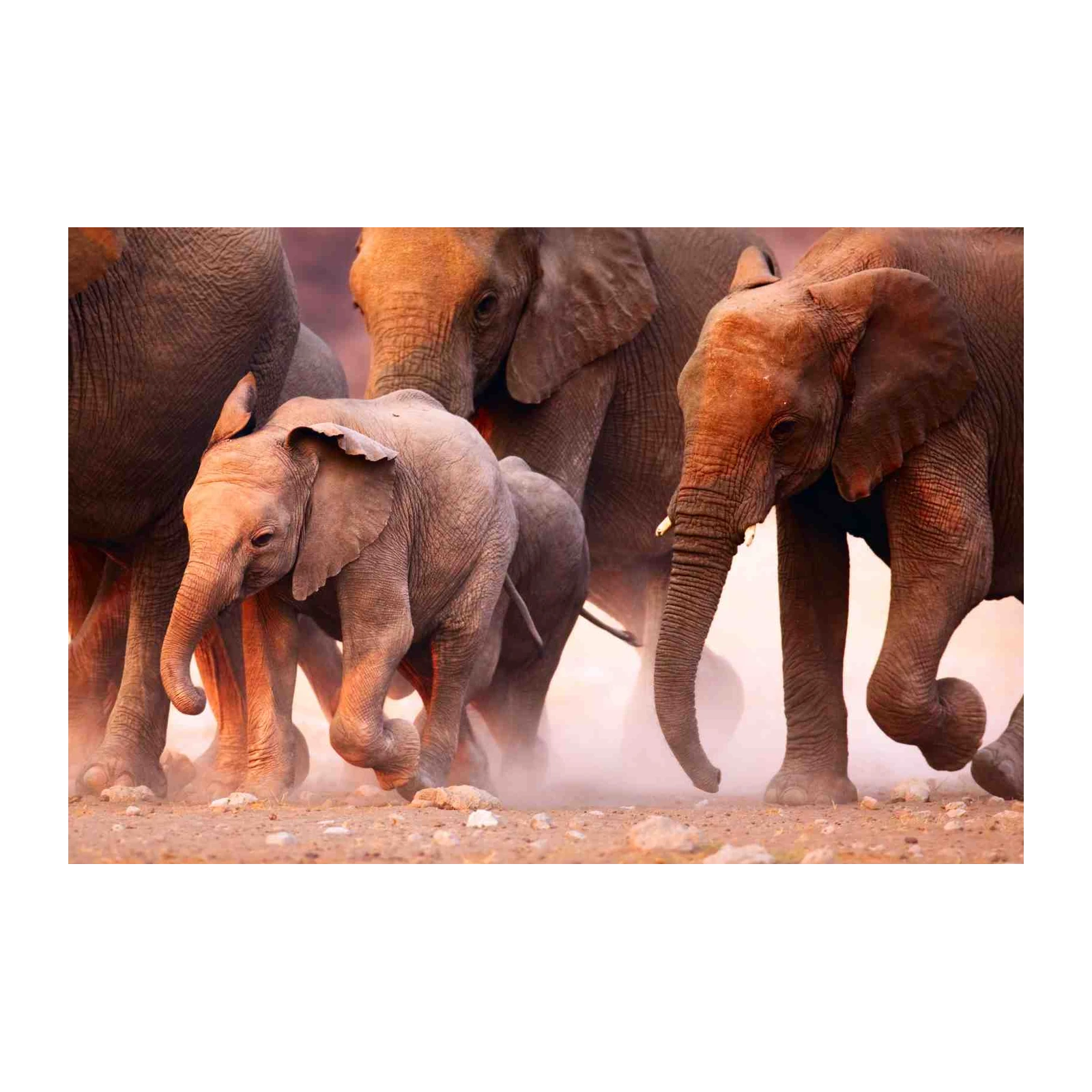 Majestic Elephant Herd Family Safari Wall Art