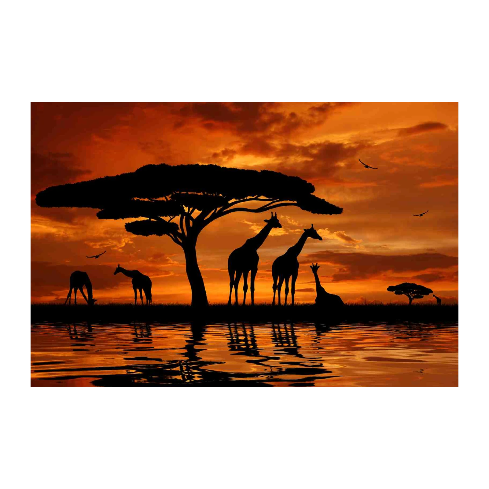 African Sunset Giraffes Silhouette Wall Art