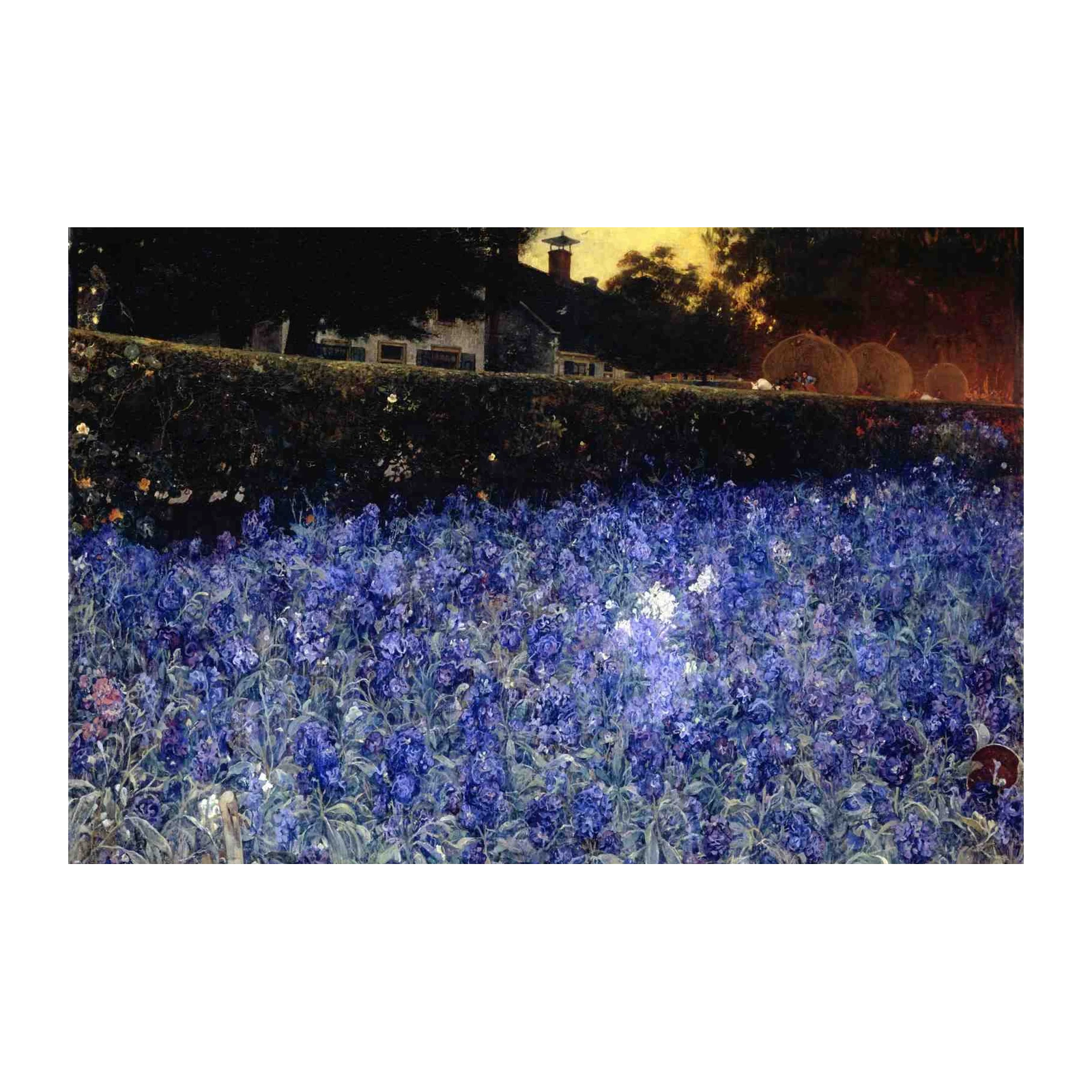 Enchanting Iris Field Landscape Wall Art