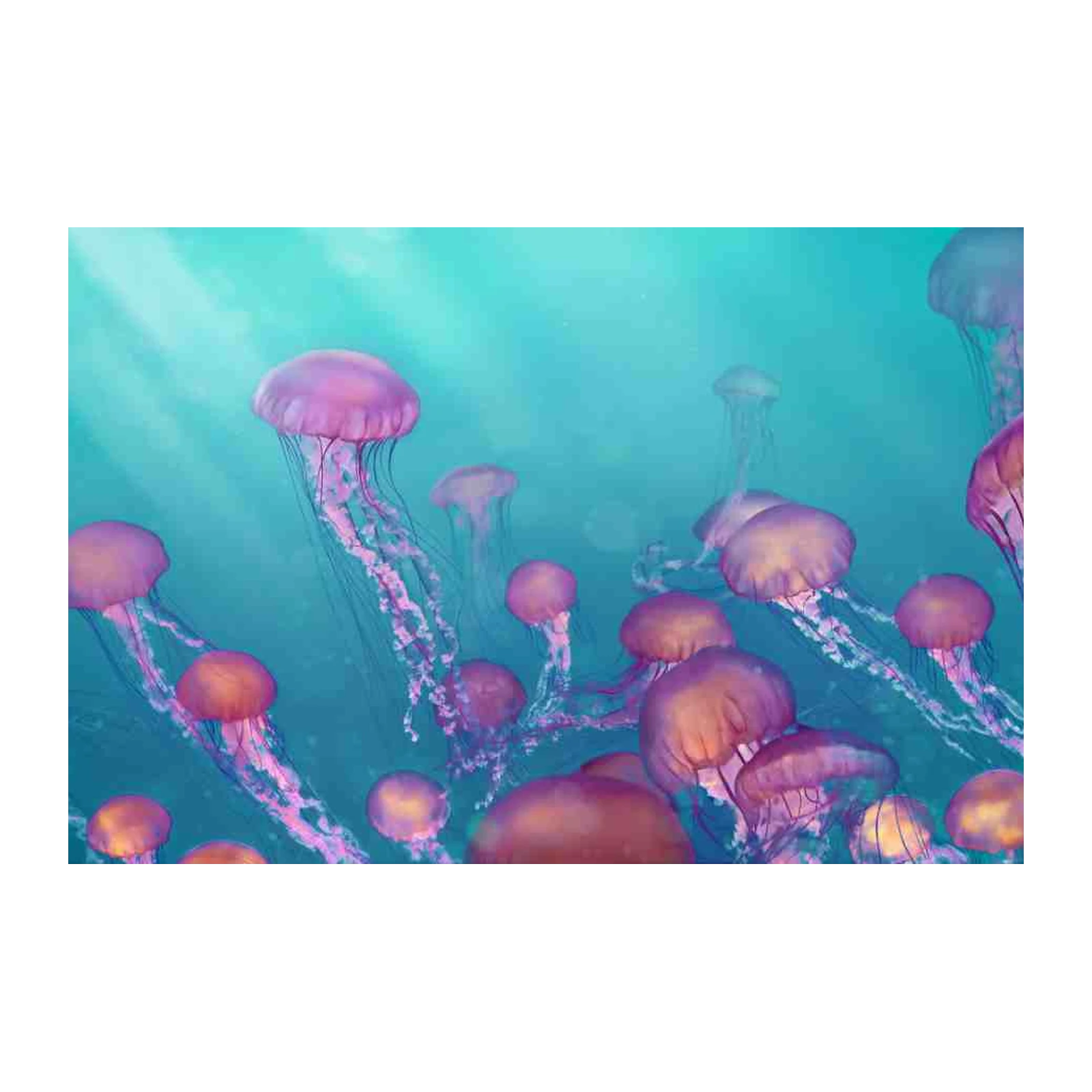 Mystic Jellyfish Ocean Dream Wall Art