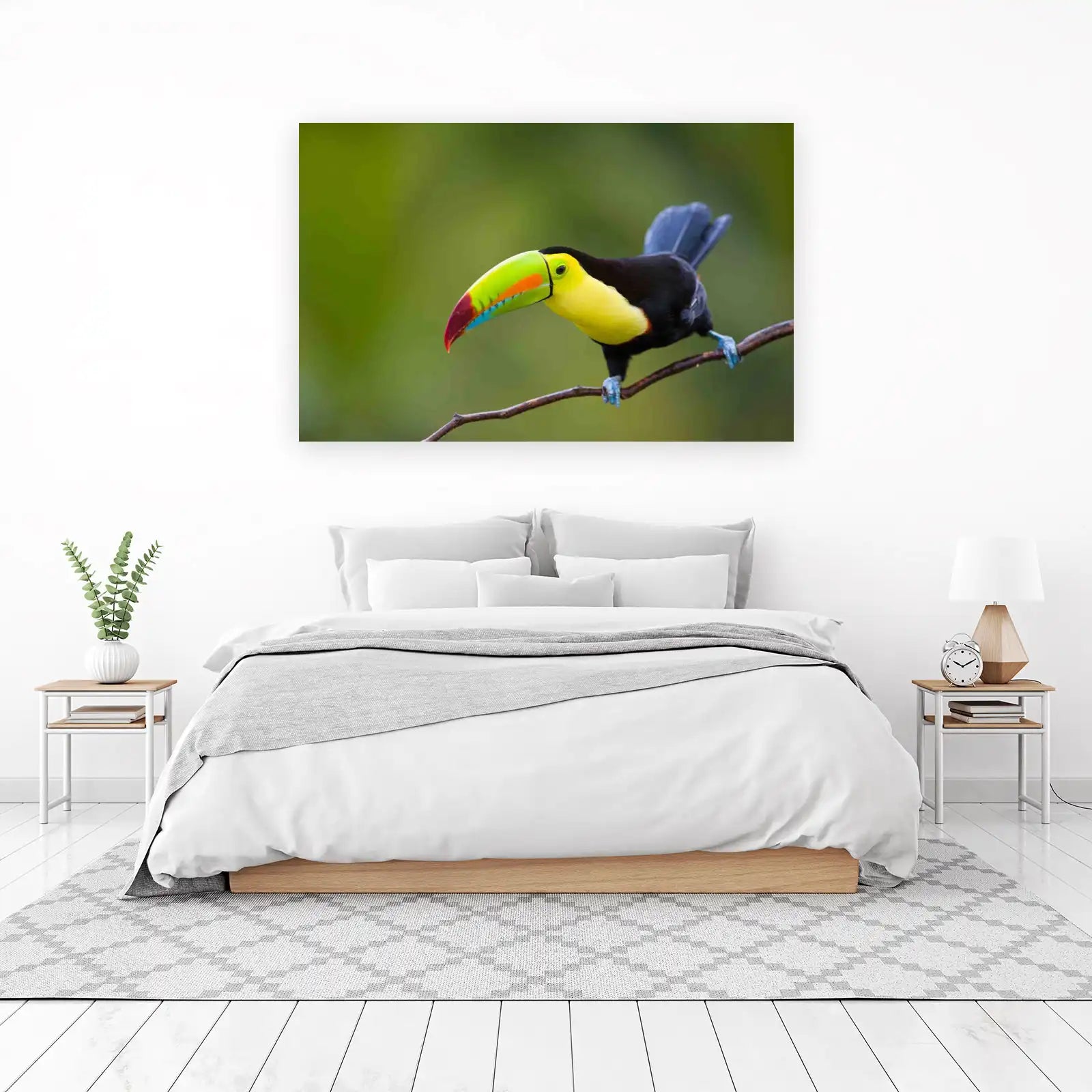 Vibrant Toucan Rainforest Bird Art Wall Art