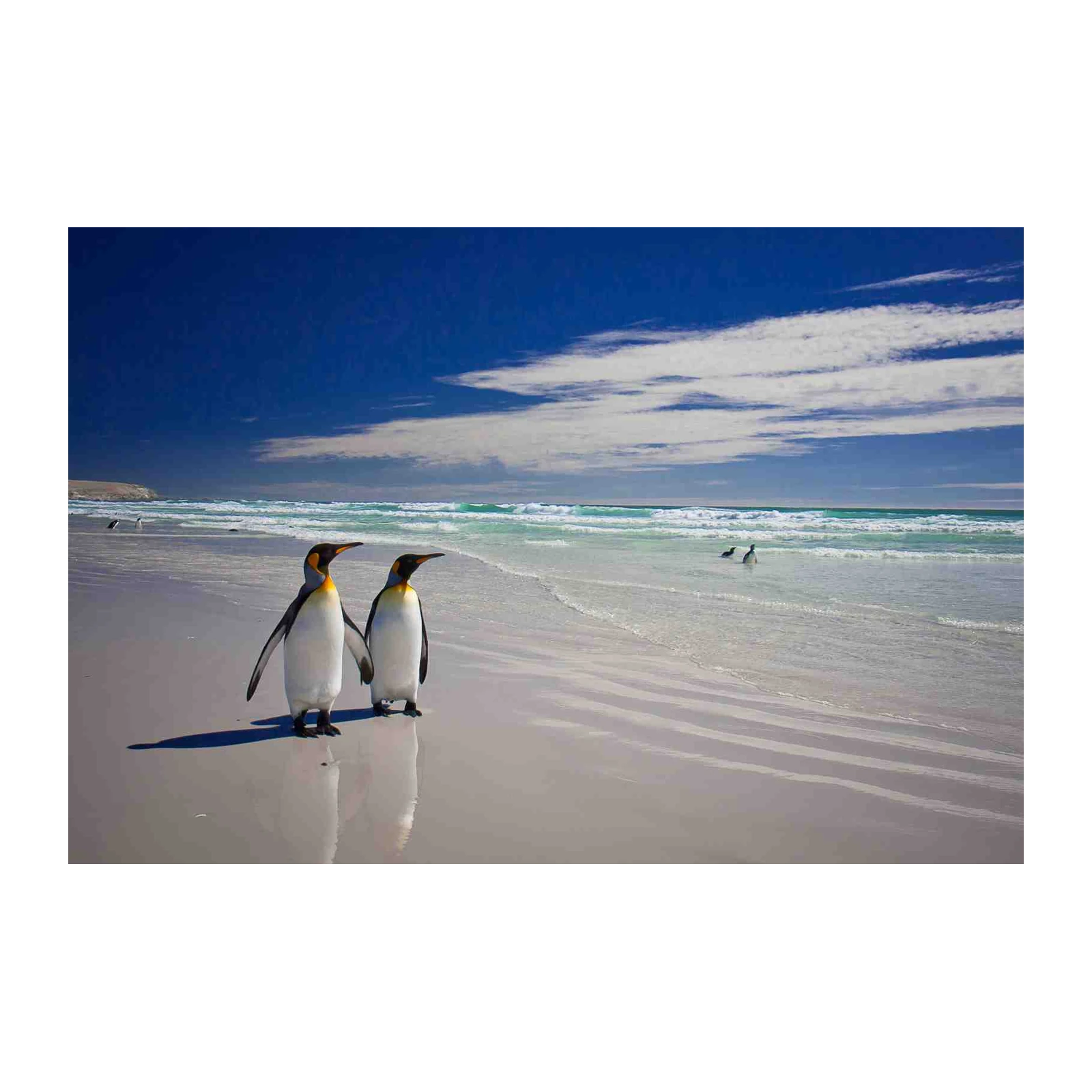 King Penguins Serene Beach Wall Art