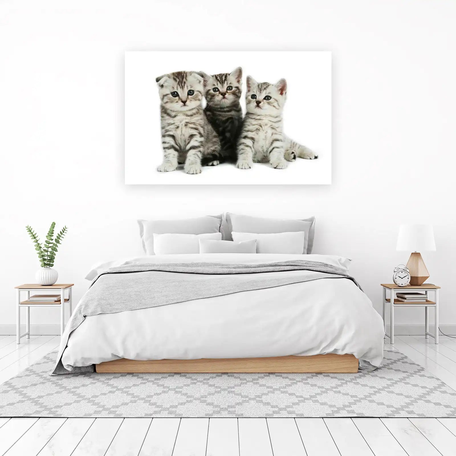 Adorable Kittens Trio Scottish Fold Wall Art