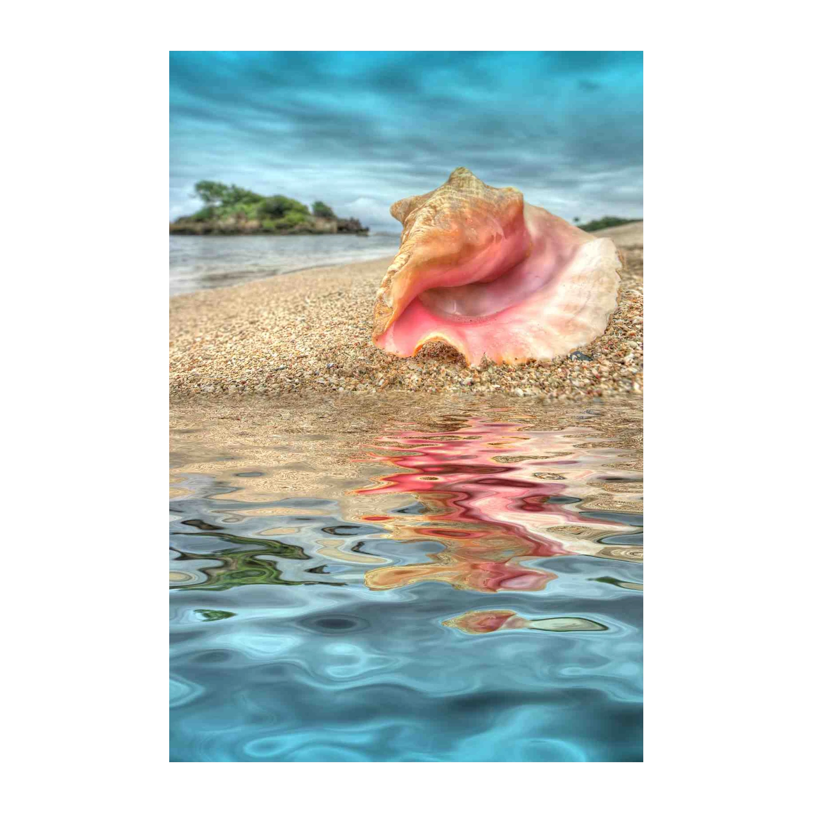Serene Conch Shell Beach Landscape Wall Art