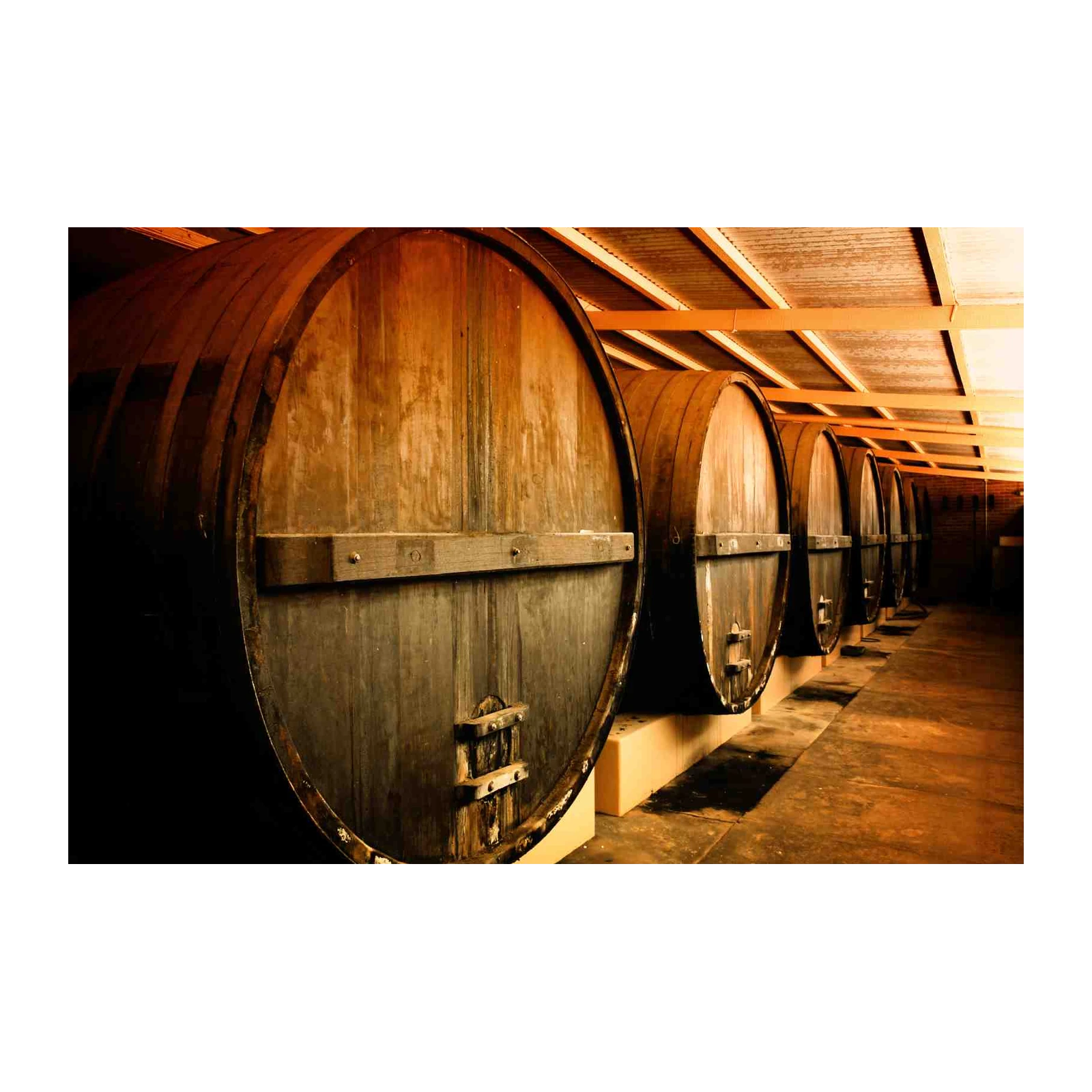 Rustic Oak Barrels Winery Wall Art Wall Art