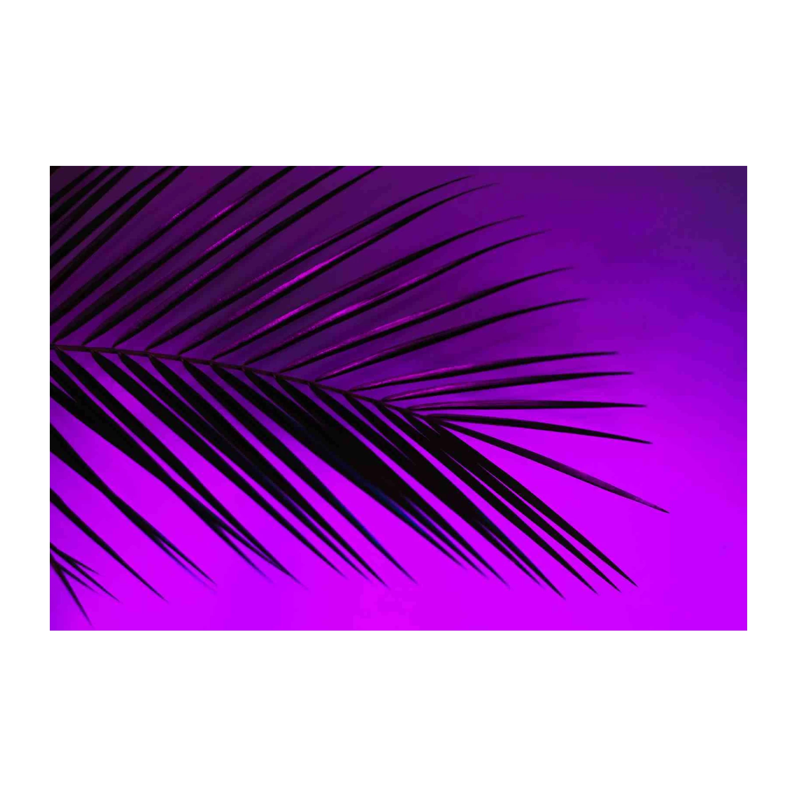 Vibrant Purple Palm Leaf Wall Art