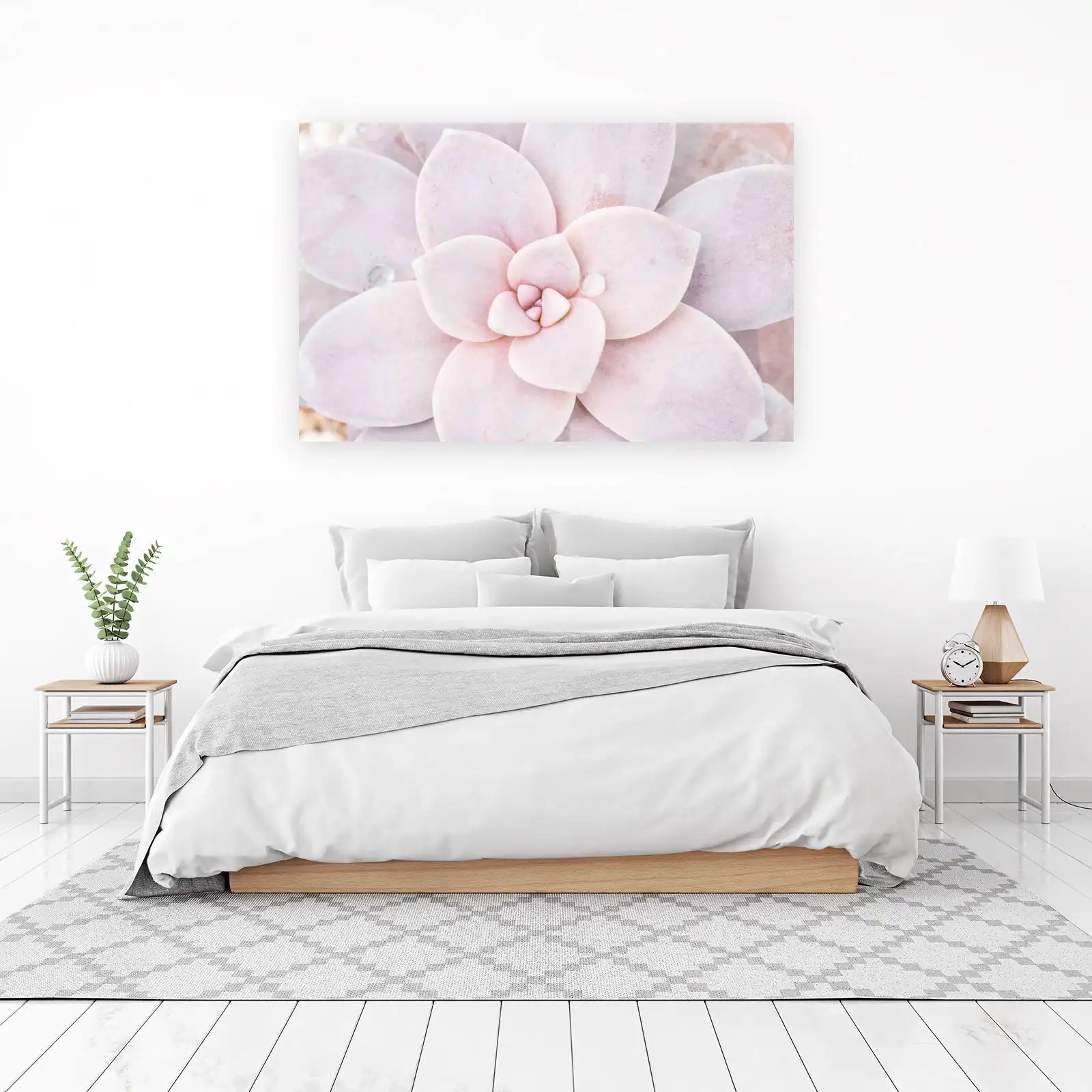 Blush Pink Succulent Macro Art Wall Art