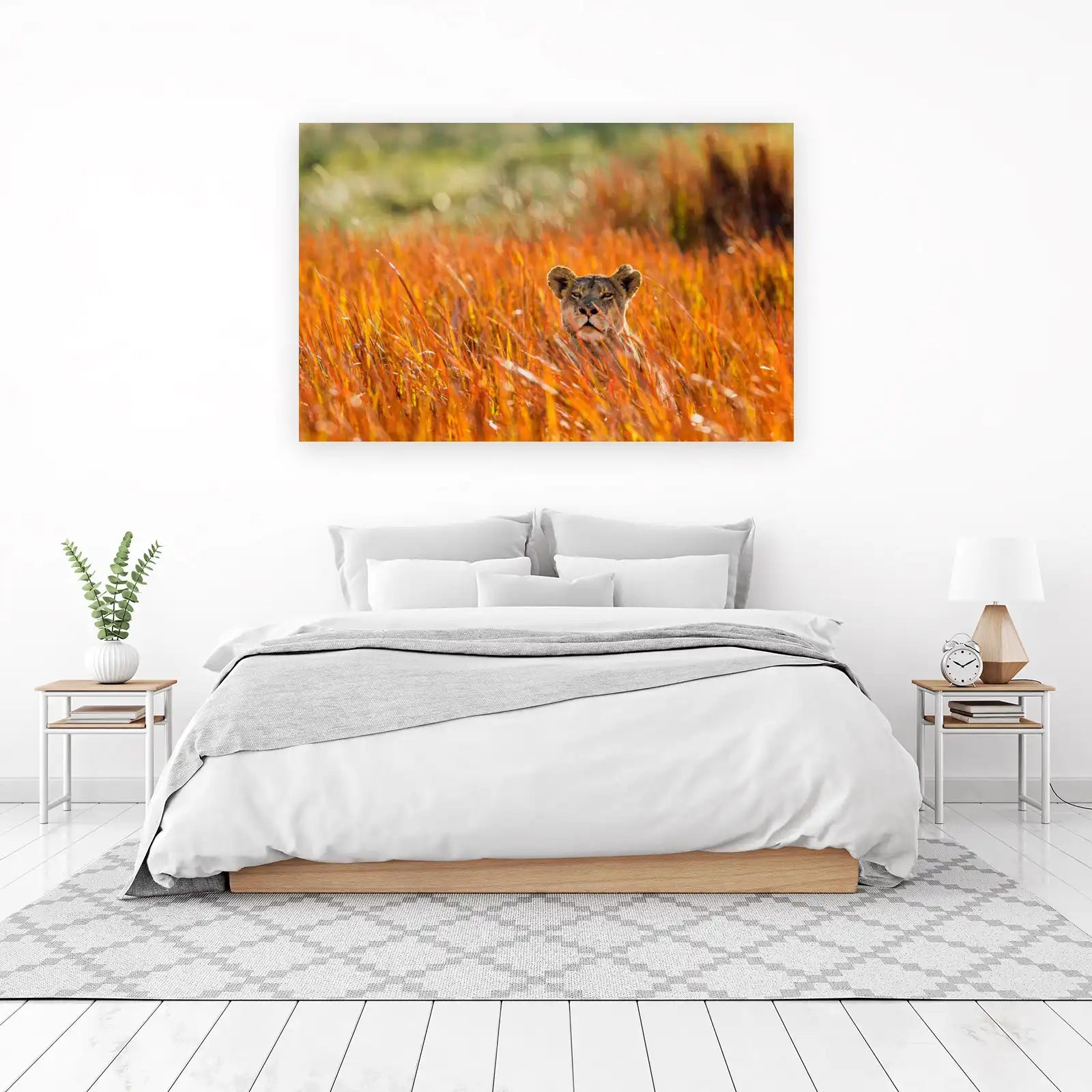 Majestic Lioness in Golden Grass Wall Art