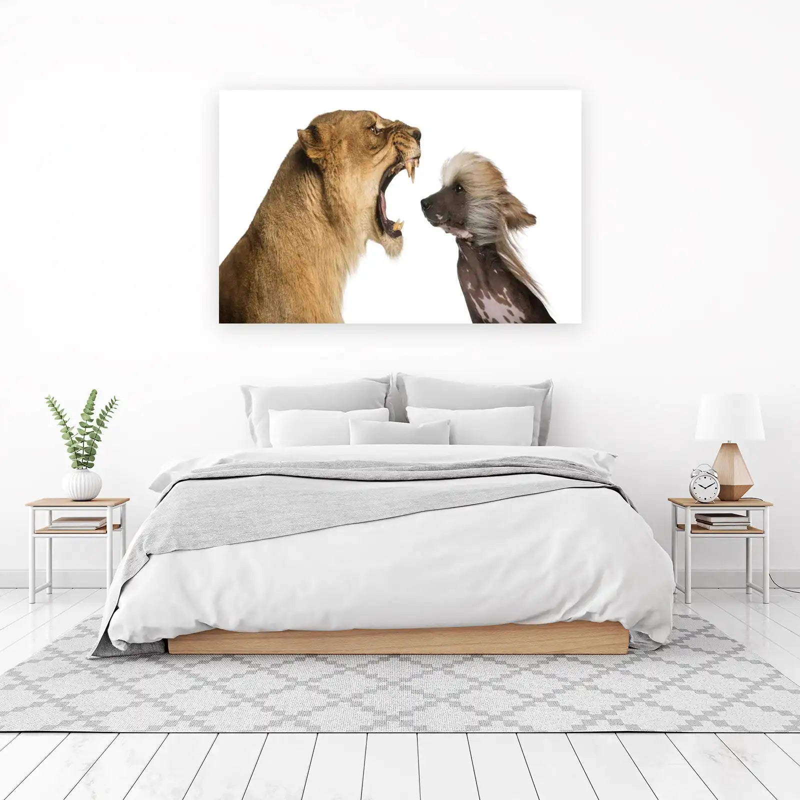 Lion Roaring at Dog Wall Art