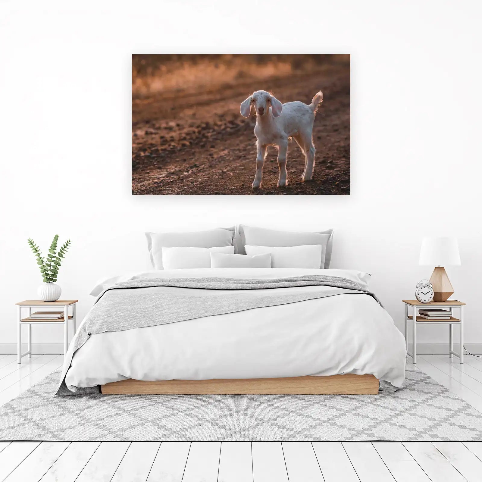 Adorable Baby Goat Cute Farm Animal Wall Art