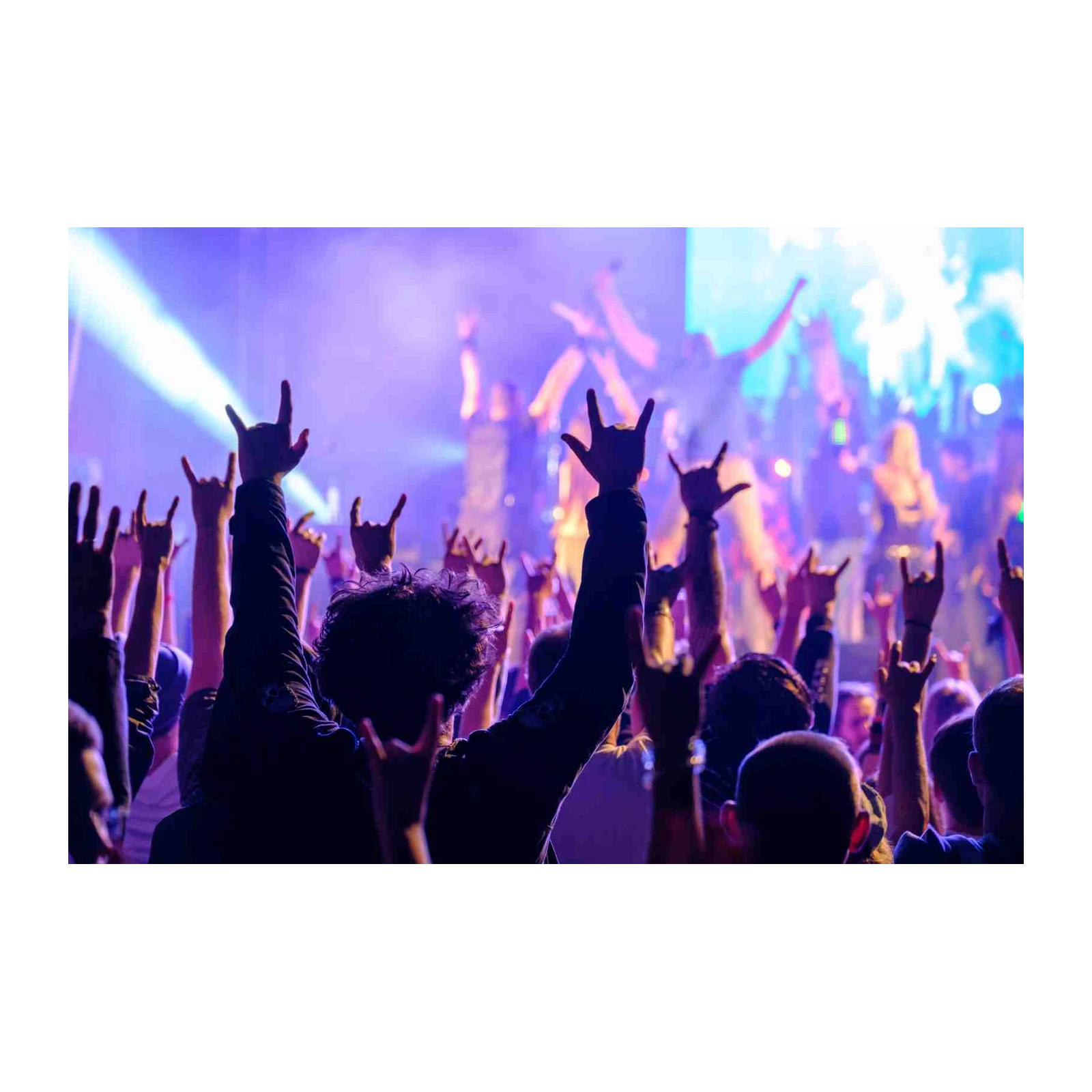 Electric Crowd Rock Concert Wall Art