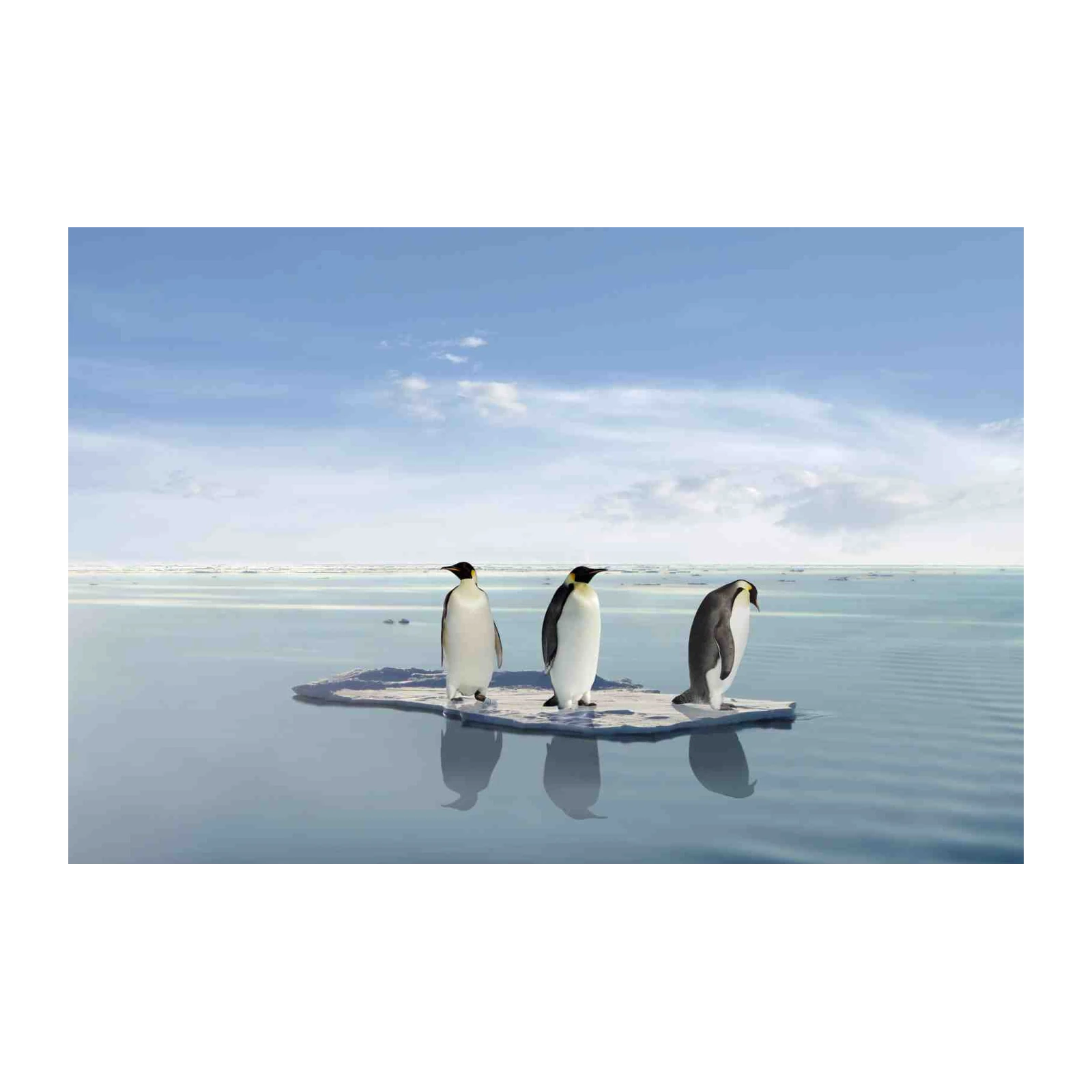 Three Penguins on Iceberg Wall Art
