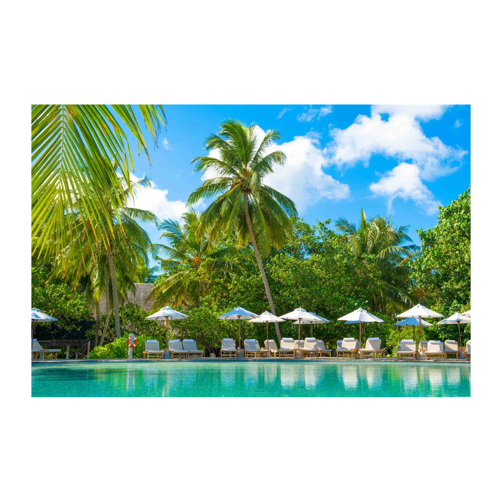 Tropical Poolside Paradise Palm Tree Wall Art