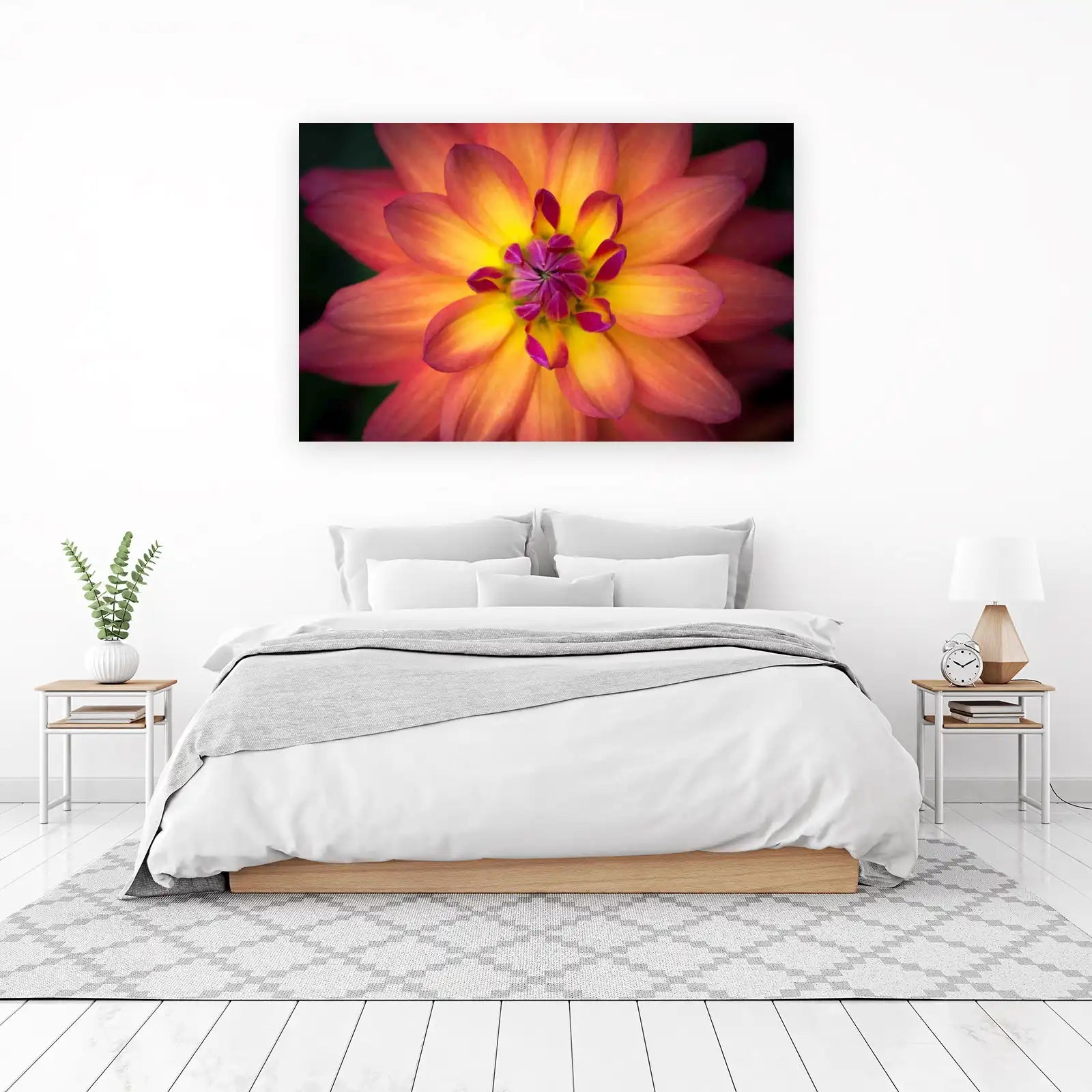 Vibrant Dahlia Flower Close-Up Wall Art