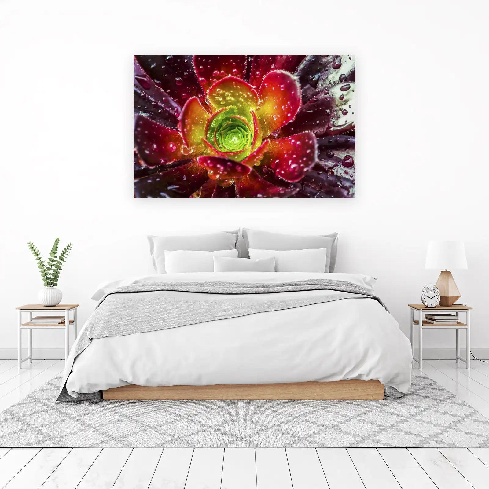 Vibrant Succulent Bloom Water Droplets Wall Art