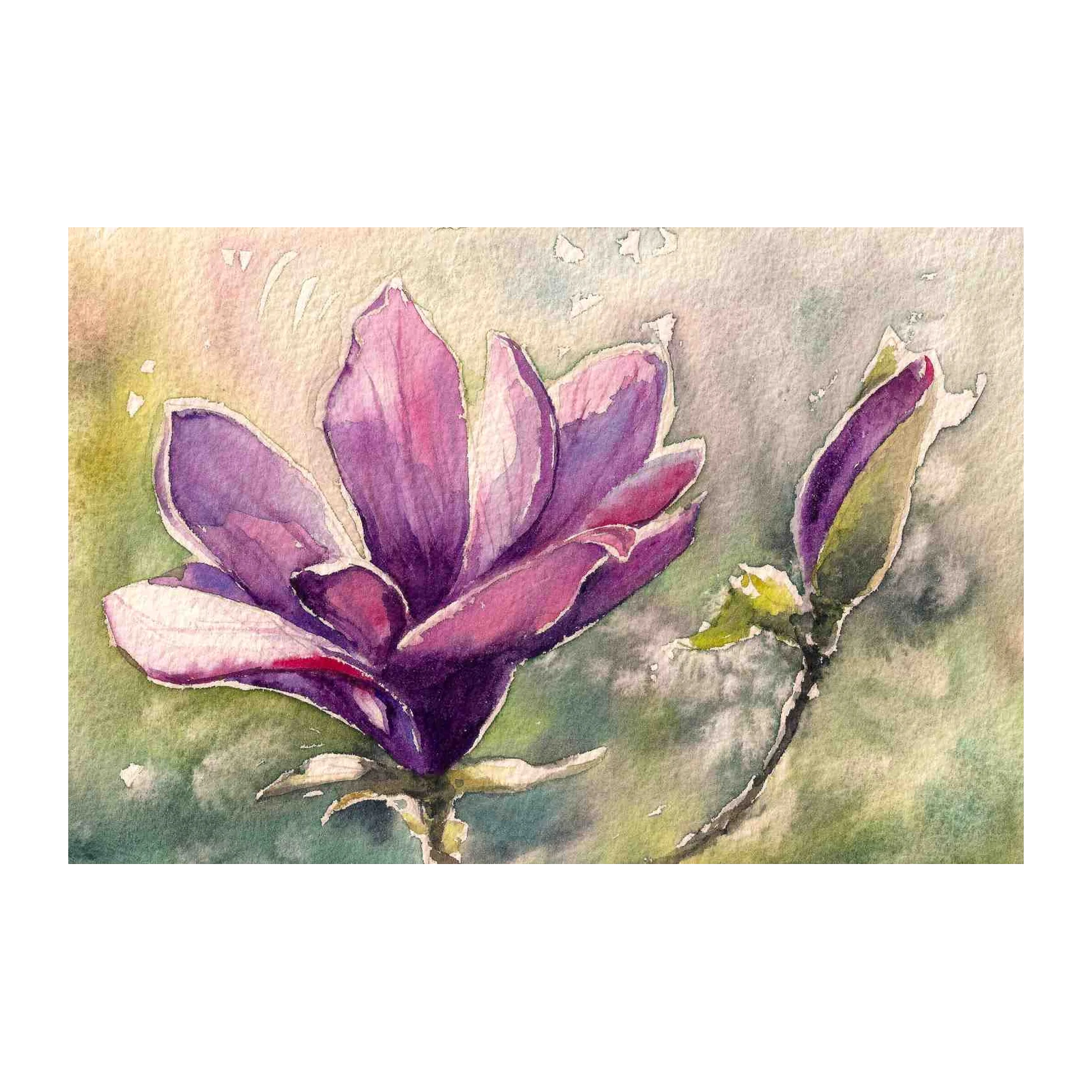 Purple Magnolia Bloom Watercolor Wall Art