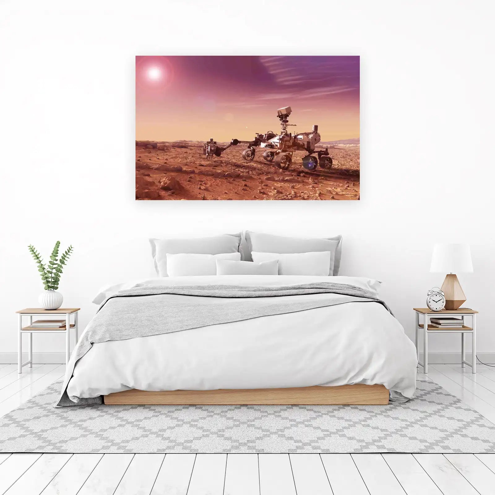 Martian Rover Exploration Wall Art