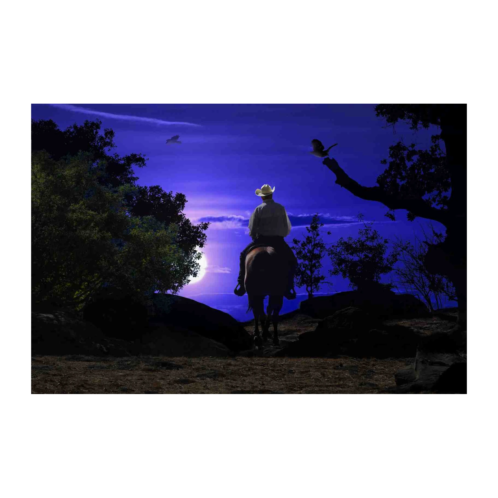 Lone Cowboy Moonlit Ride Wall Art