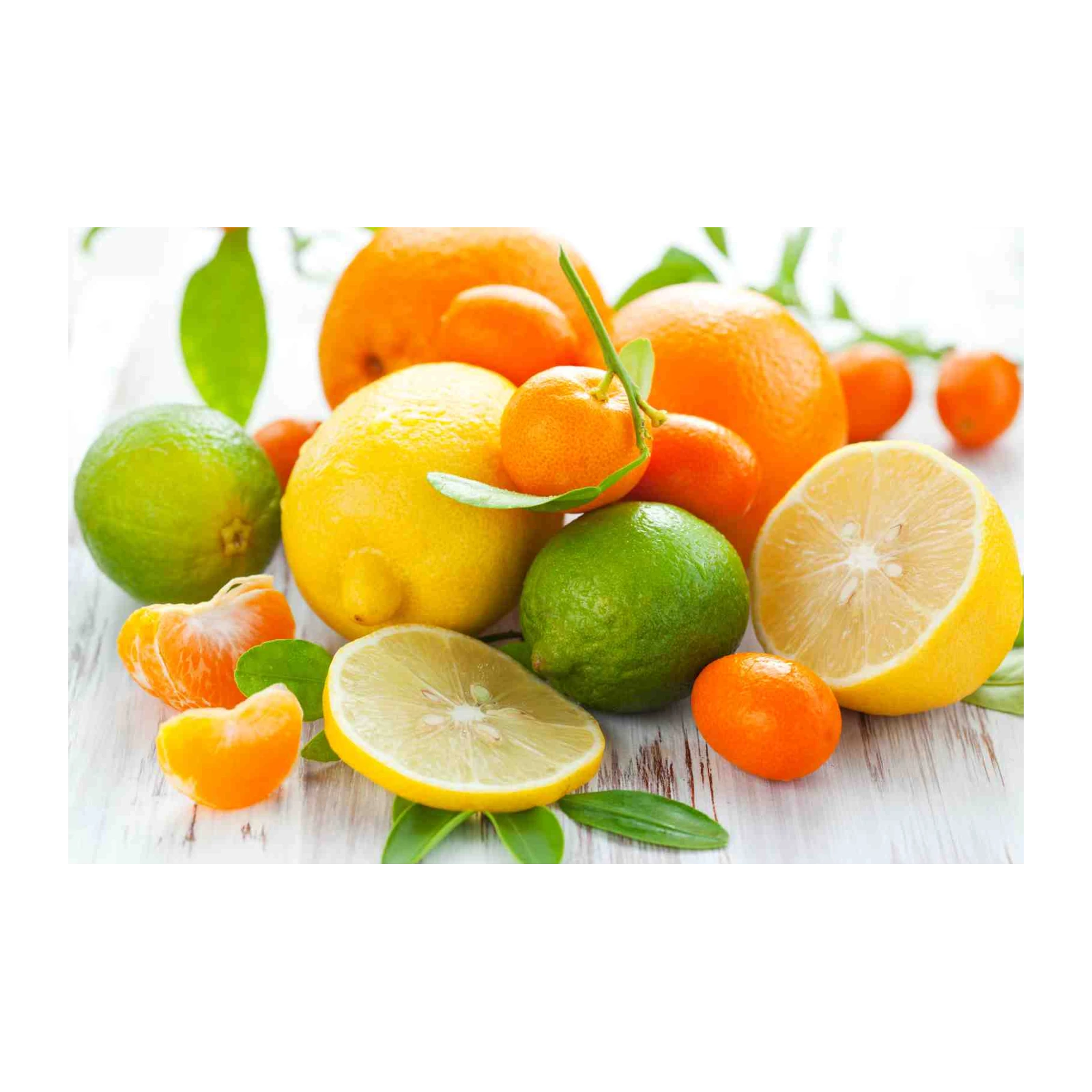 Vibrant Citrus Fruits Wall Art