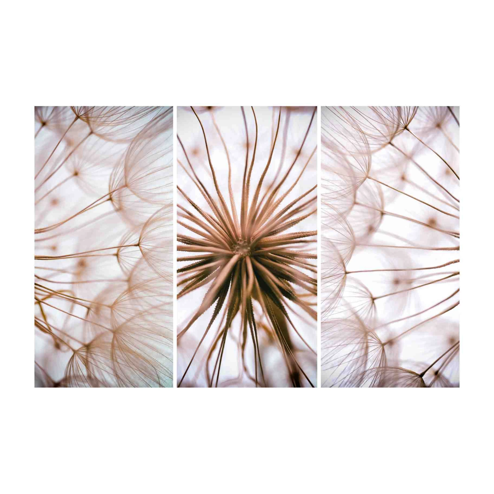 Ethereal Dandelion Seeds Triptych Wall Art
