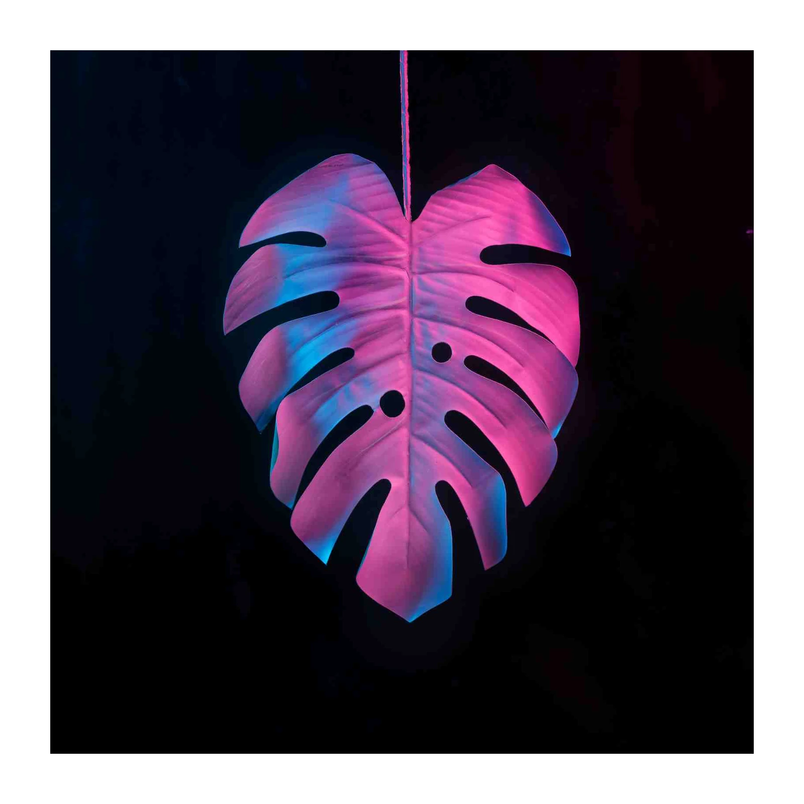 Neon Tropical Leaf Wall Art Art